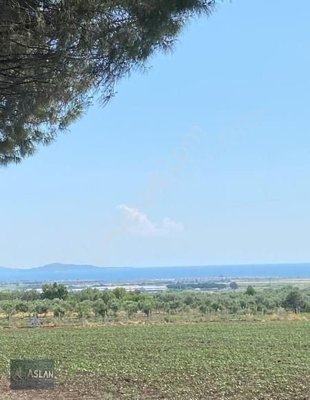 Fırsat..!! İzmir Dikili Doğanın İçinde 866 M2 Arsa - Görsel 7