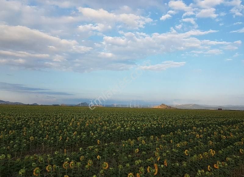 Dikili Serbest Bölge Ve Sera Organize Bölgesi Arasında 22 Dönüm - Görsel 11