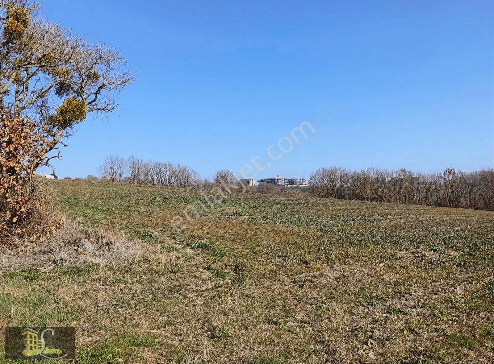 Serdaroğlundan Büyükçavuşluda 200 Metre Otoban Cephe Parsel - Görsel 8