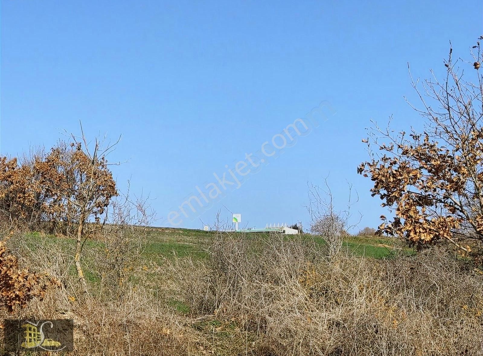 Serdaroğlundan Büyükçavuşluda 200 Metre Otoban Cephe Parsel - Görsel 3