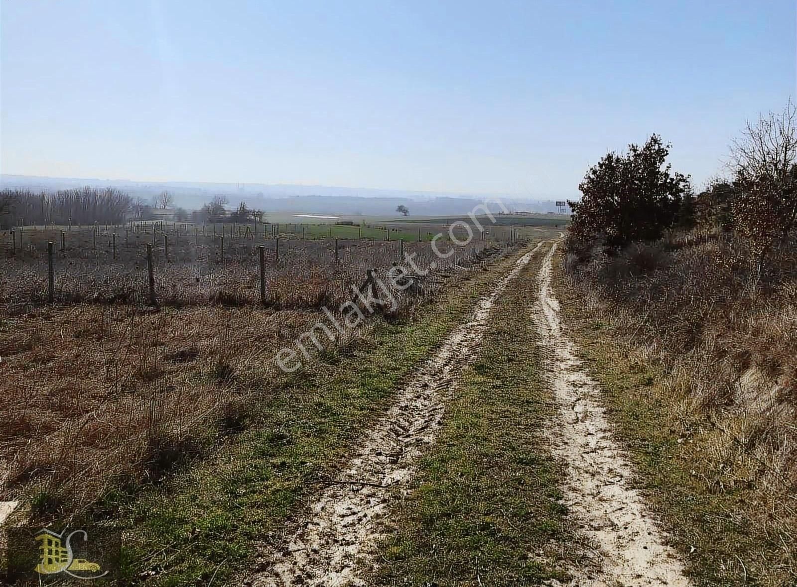 Serdaroğlundan Büyükçavuşluda 200 Metre Otoban Cephe Parsel - Görsel 13
