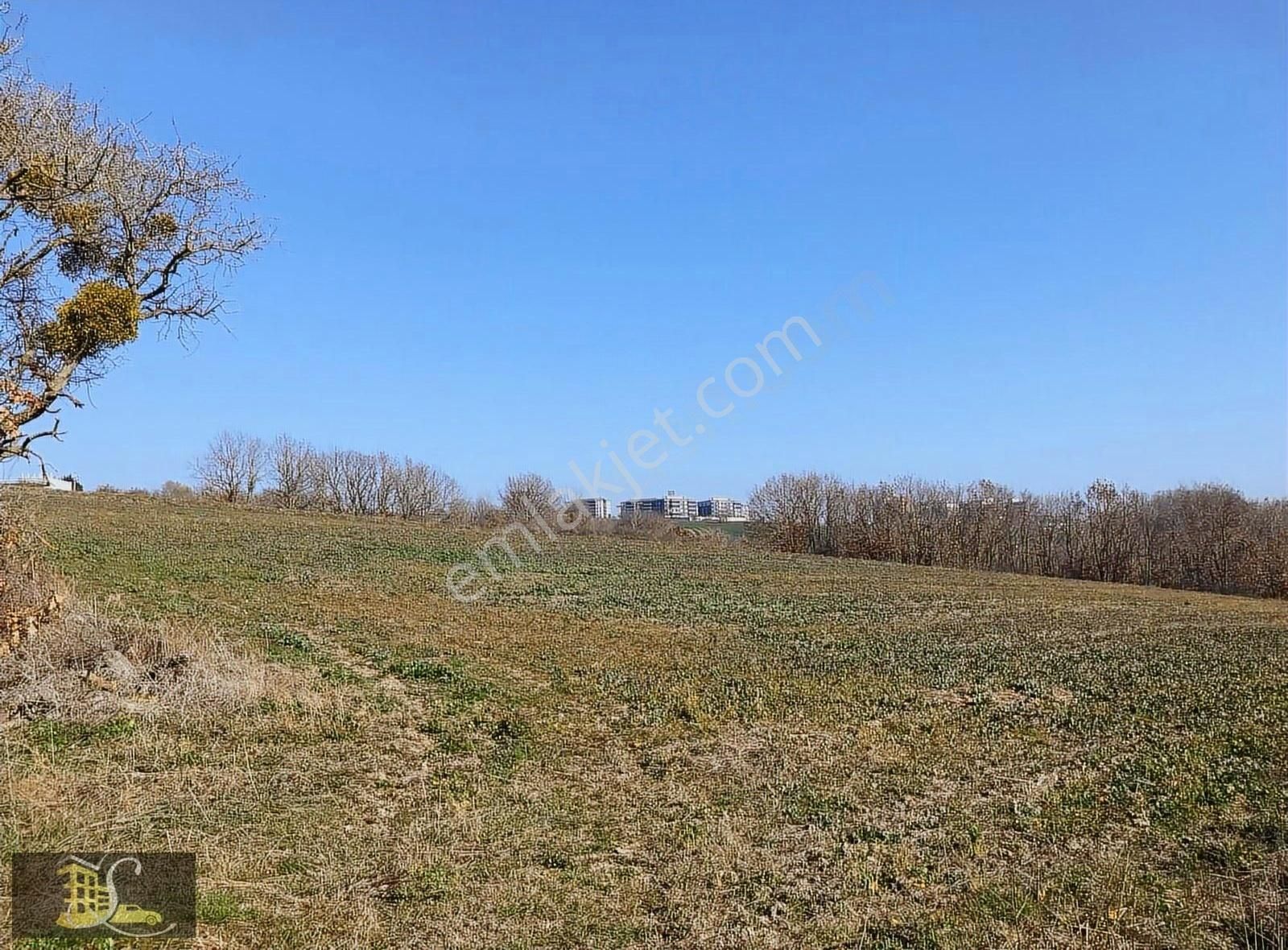 Serdaroğlundan Büyükçavuşluda 200 Metre Otoban Cephe Parsel - Görsel 15