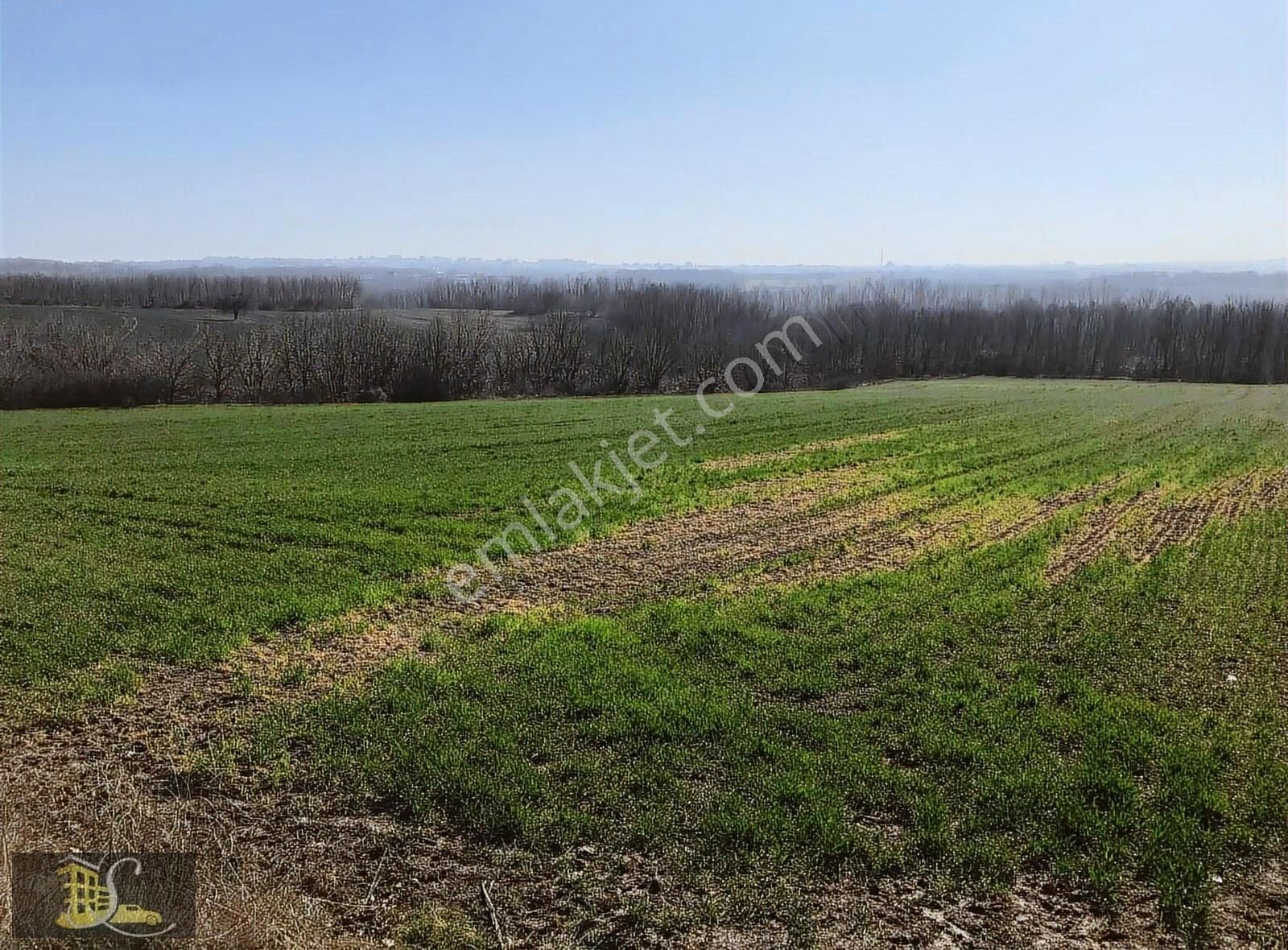 Serdaroğlundan Büyükçavuşluda 200 Metre Otoban Cephe Parsel - Görsel 2