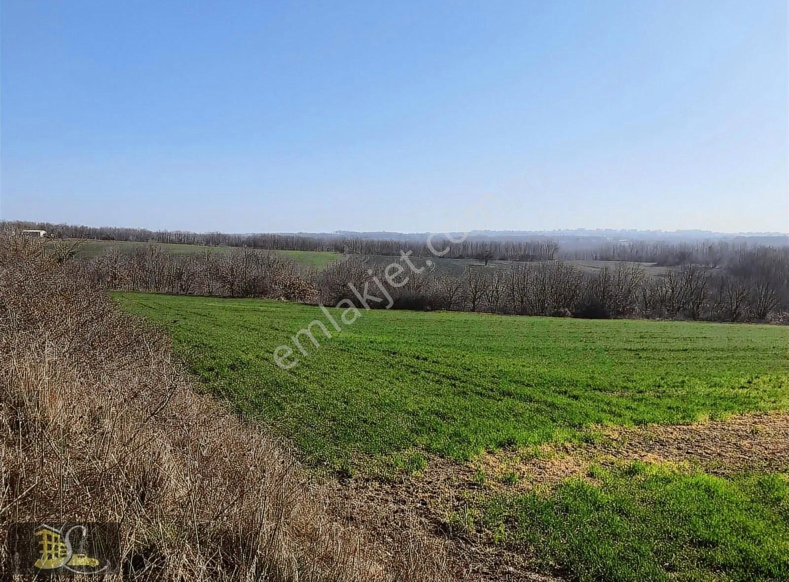 Serdaroğlundan Büyükçavuşluda 200 Metre Otoban Cephe Parsel - Görsel 4