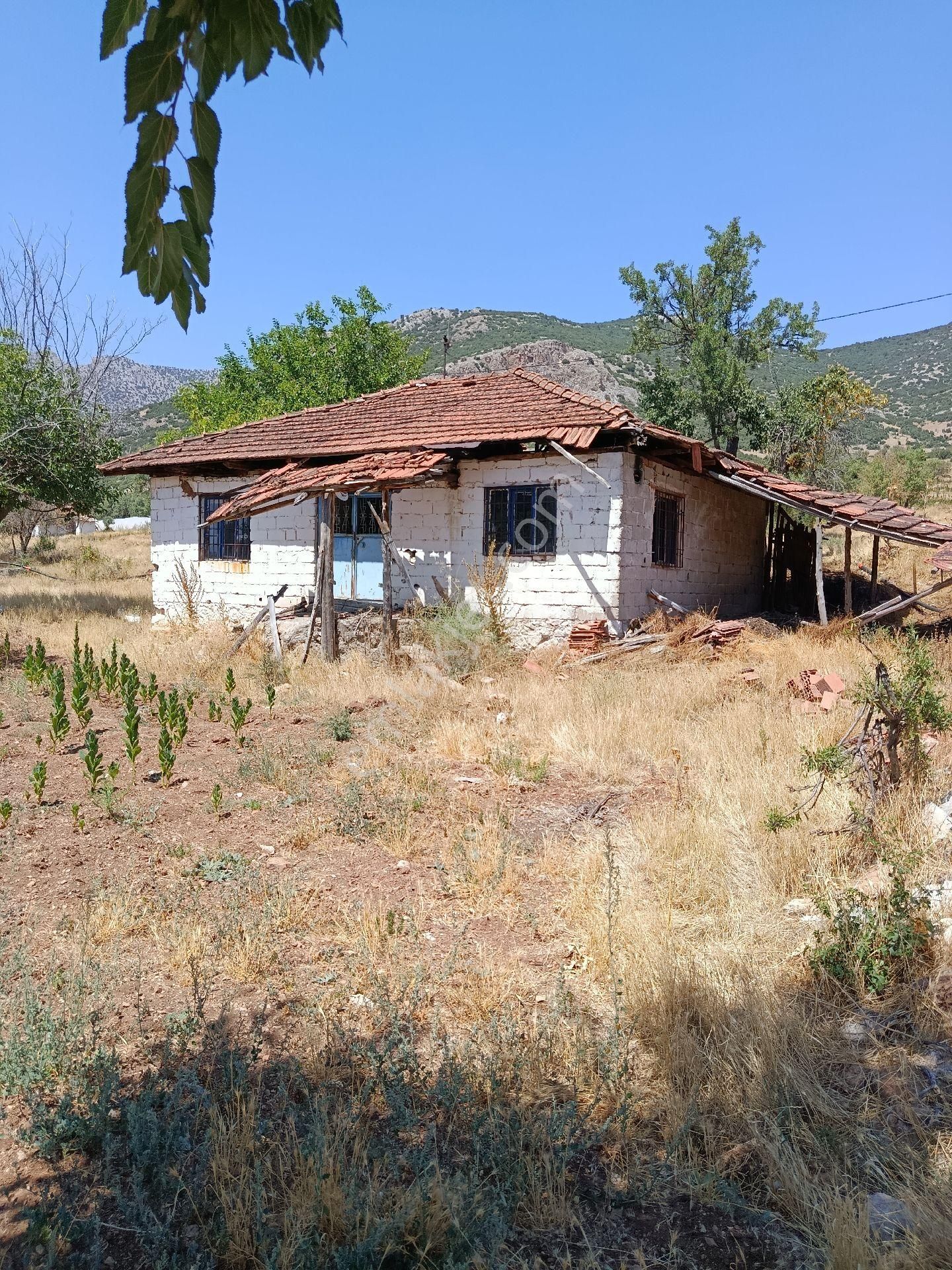Denizli Acıpayam Bademli Satılık Müstakil Ev Tarla - Görsel 21