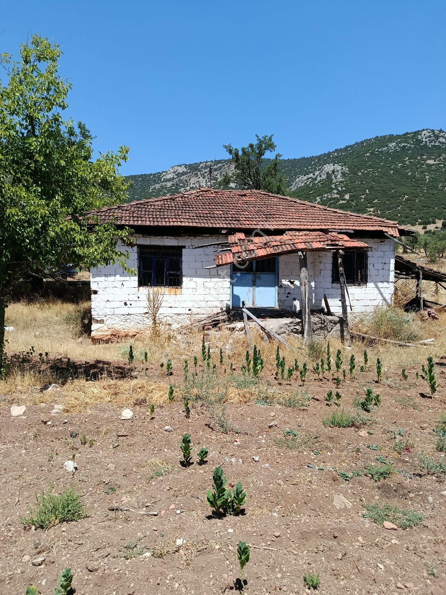 Denizli Acıpayam Bademli Satılık Müstakil Ev Tarla - Görsel 23