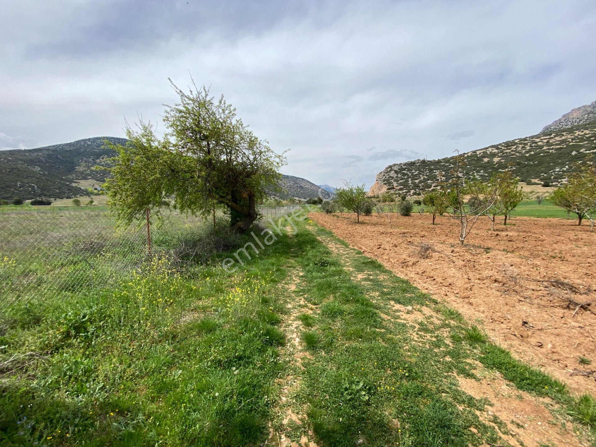 Vega Invest'ten Çeltikçi'de Harika Konumda Yatırım Fırsatı Arazi - Görsel 12