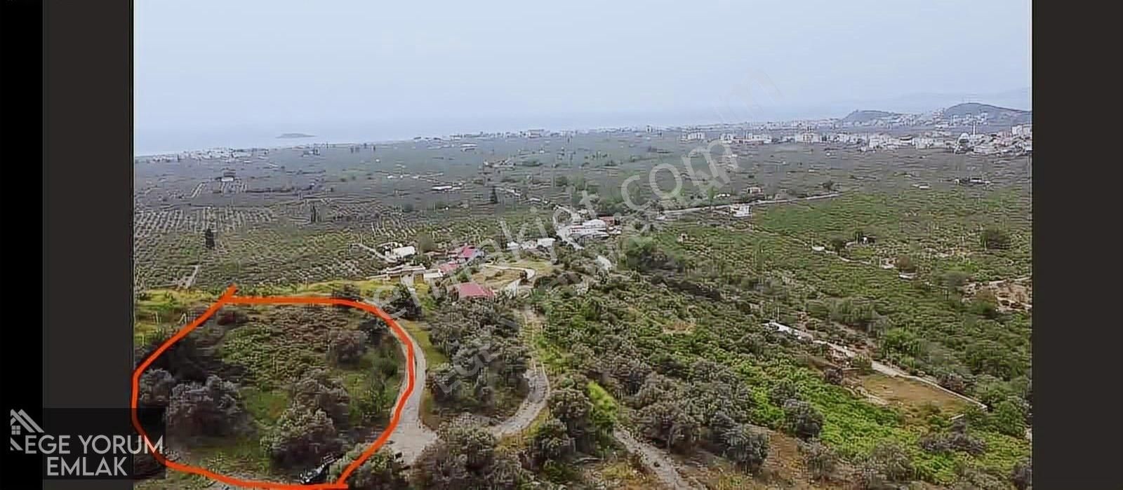 İzmir Gümüldür'de Müstakil Tapu 998m2 Tarla - Görsel 6