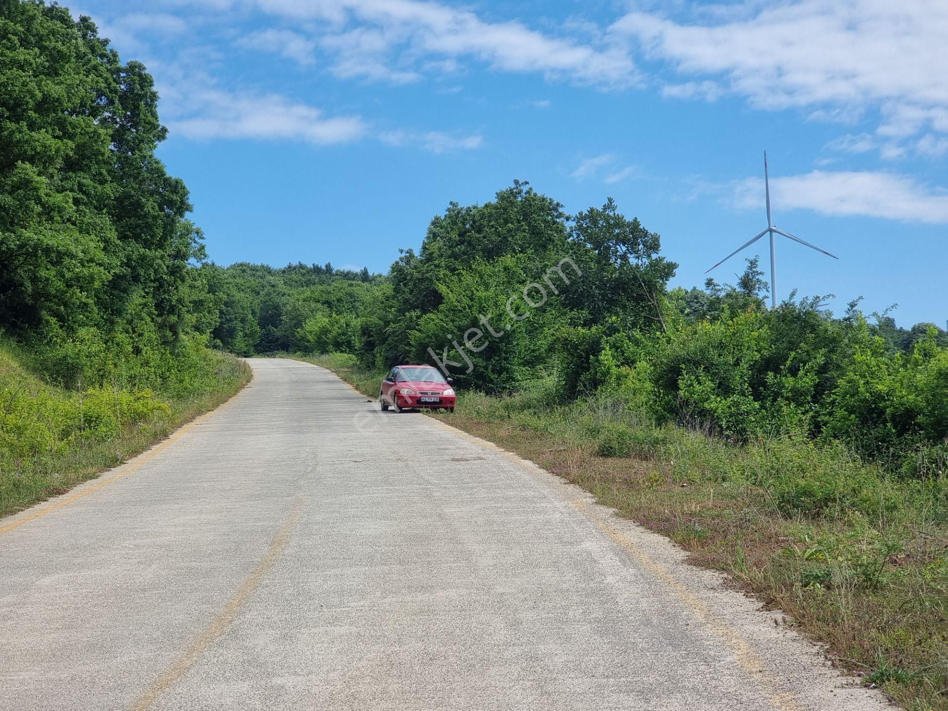 Bağırganlı'da Vadi Manzaralı Orman Kenarı 10 Dönüm Tarla - Görsel 9