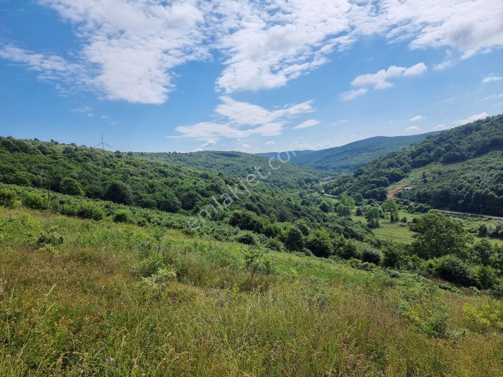 Bağırganlı'da Vadi Manzaralı Orman Kenarı 10 Dönüm Tarla - Görsel 20
