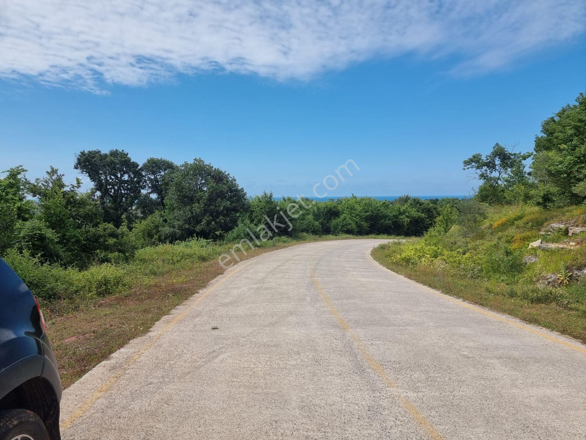 Bağırganlı'da Vadi Manzaralı Orman Kenarı 10 Dönüm Tarla - Görsel 10