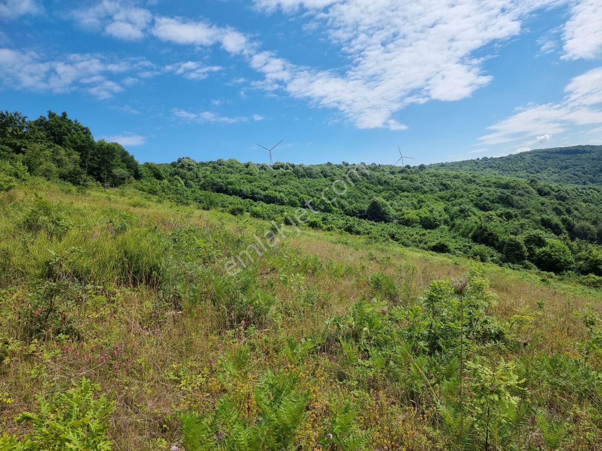 Bağırganlı'da Vadi Manzaralı Orman Kenarı 10 Dönüm Tarla - Görsel 2