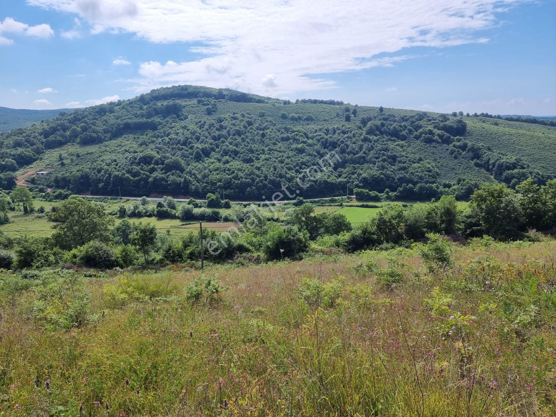 Bağırganlı'da Vadi Manzaralı Orman Kenarı 10 Dönüm Tarla - Görsel 19
