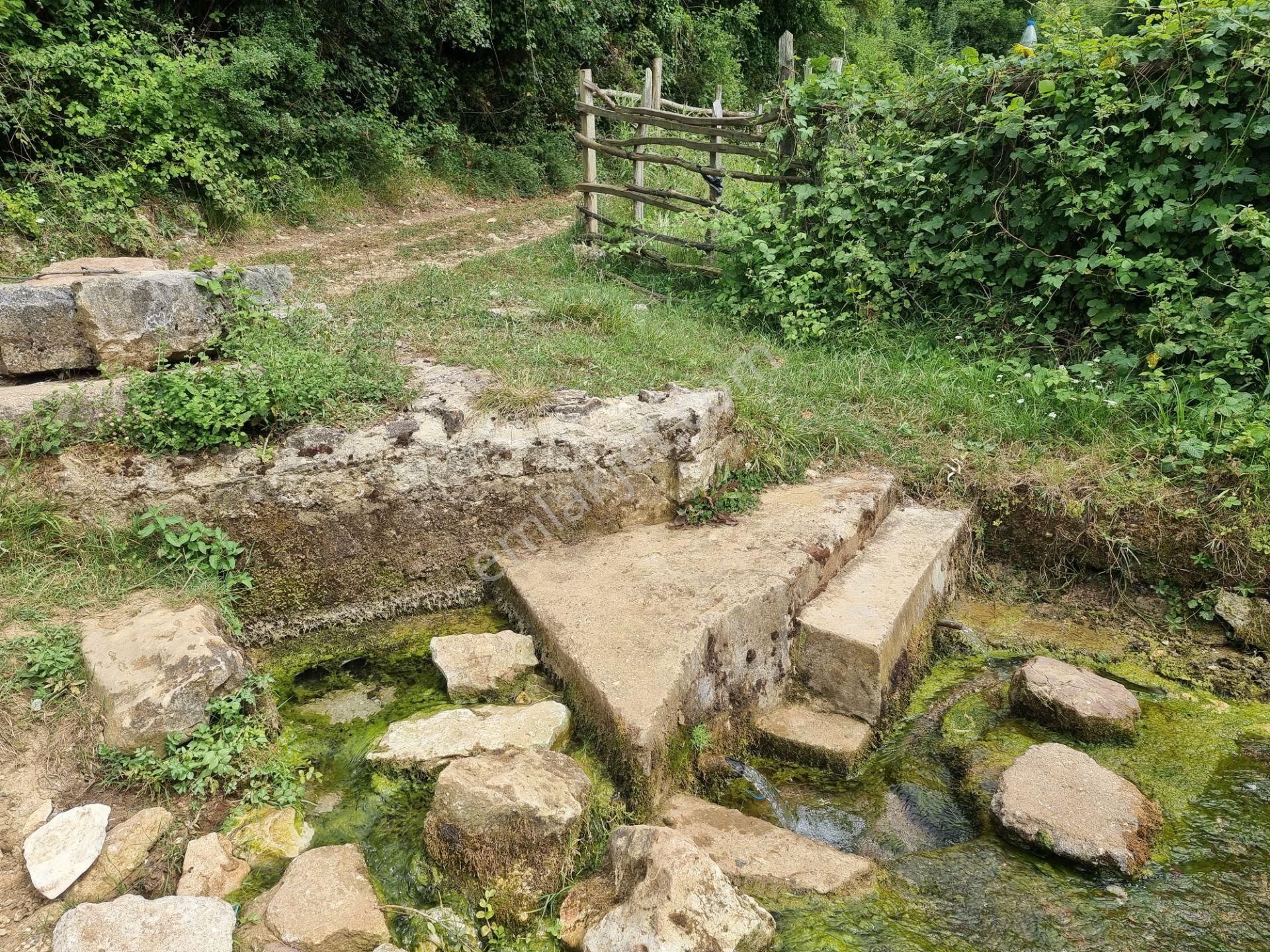 Bağırganlı'da Vadi Manzaralı Orman Kenarı 10 Dönüm Tarla - Görsel 8
