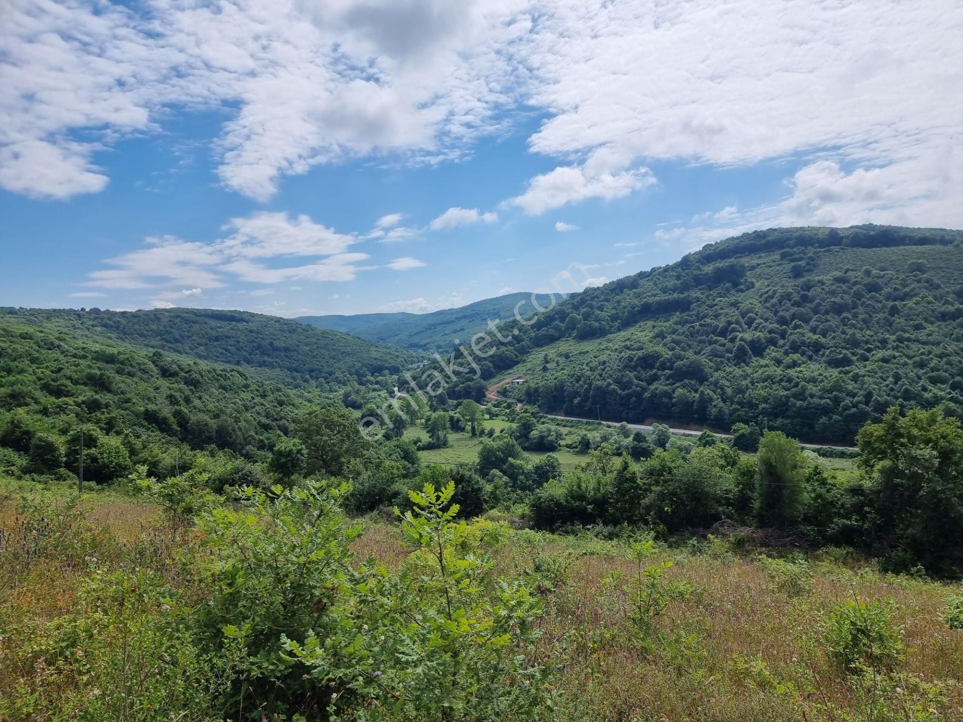 Bağırganlı'da Vadi Manzaralı Orman Kenarı 10 Dönüm Tarla - Görsel 12