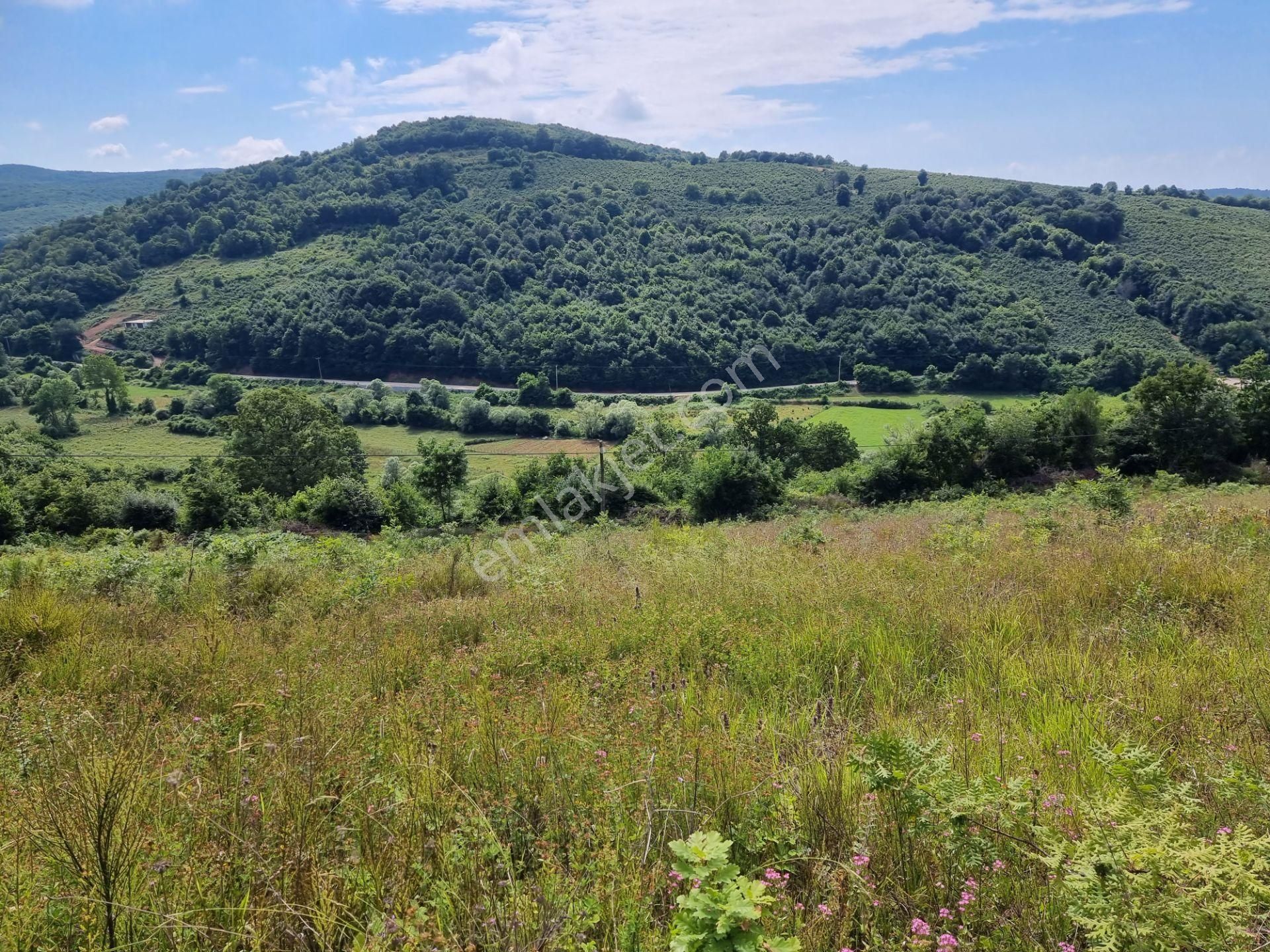 Bağırganlı'da Vadi Manzaralı Orman Kenarı 10 Dönüm Tarla - Görsel 23