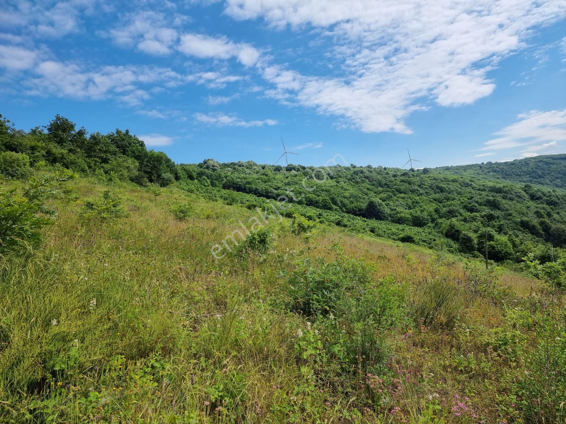 Bağırganlı'da Vadi Manzaralı Orman Kenarı 10 Dönüm Tarla - Görsel 3