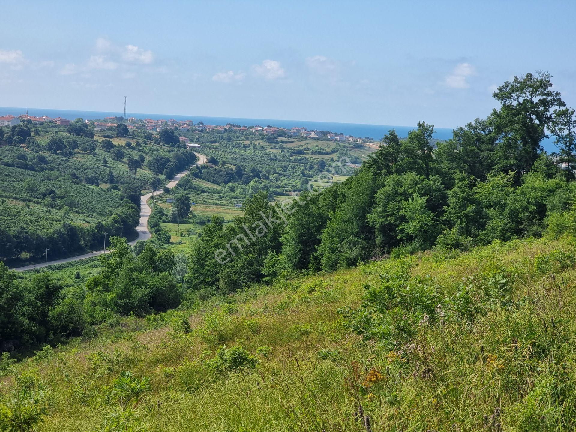 Bağırganlı'da Vadi Manzaralı Orman Kenarı 10 Dönüm Tarla - Görsel 34