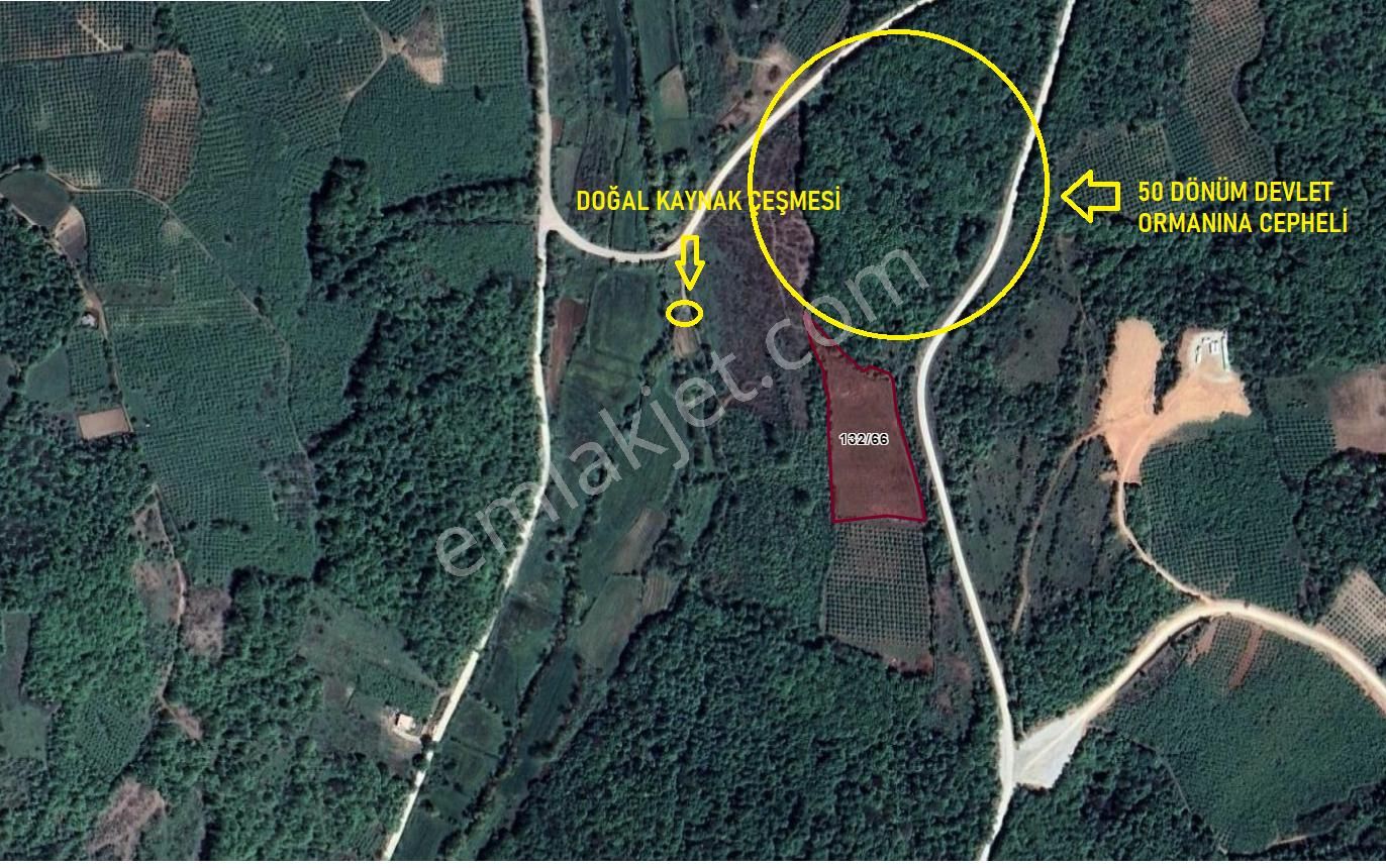 Bağırganlı'da Vadi Manzaralı Orman Kenarı 10 Dönüm Tarla - Görsel 7