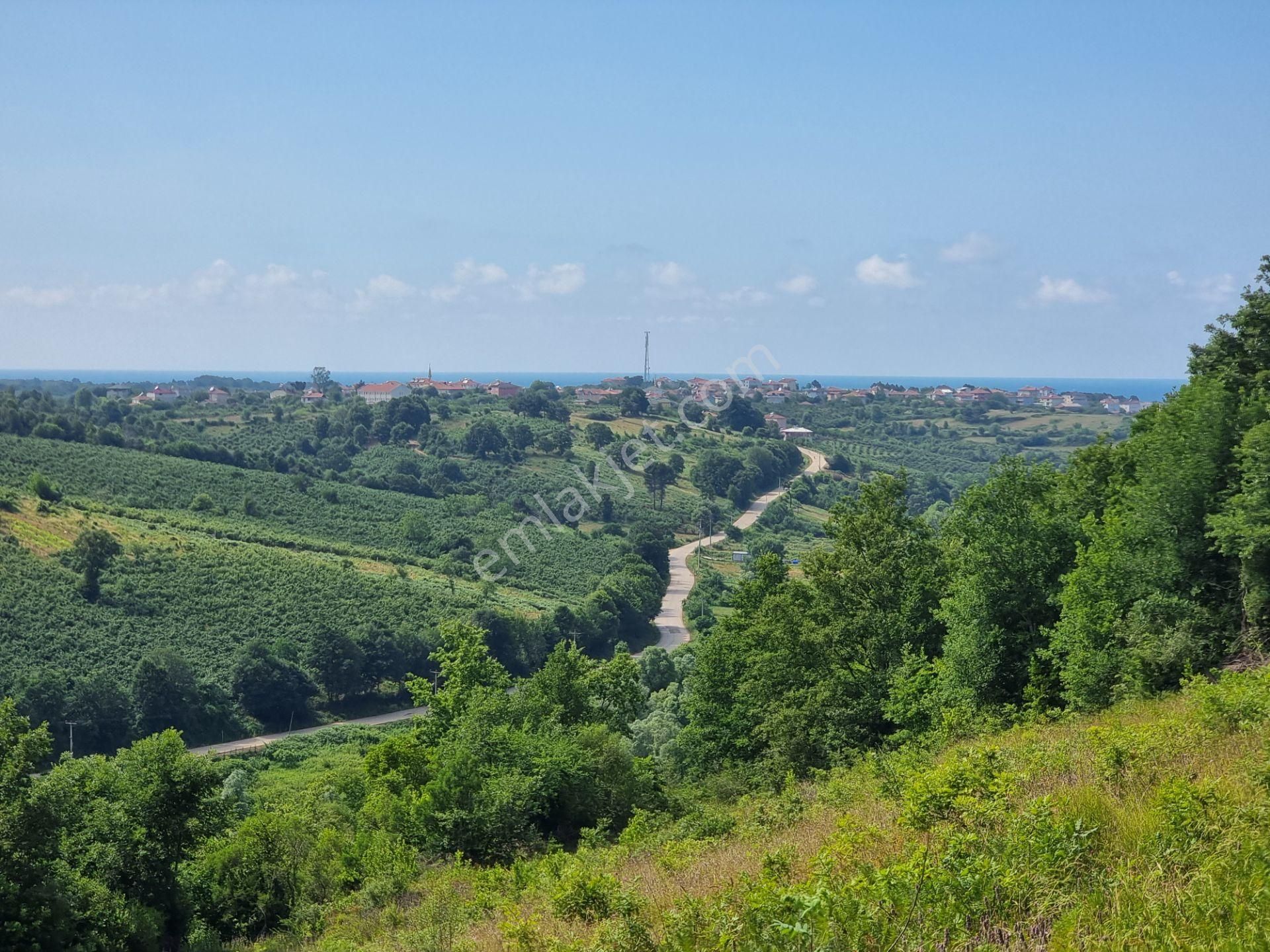 Bağırganlı'da Vadi Manzaralı Orman Kenarı 10 Dönüm Tarla - Görsel 18