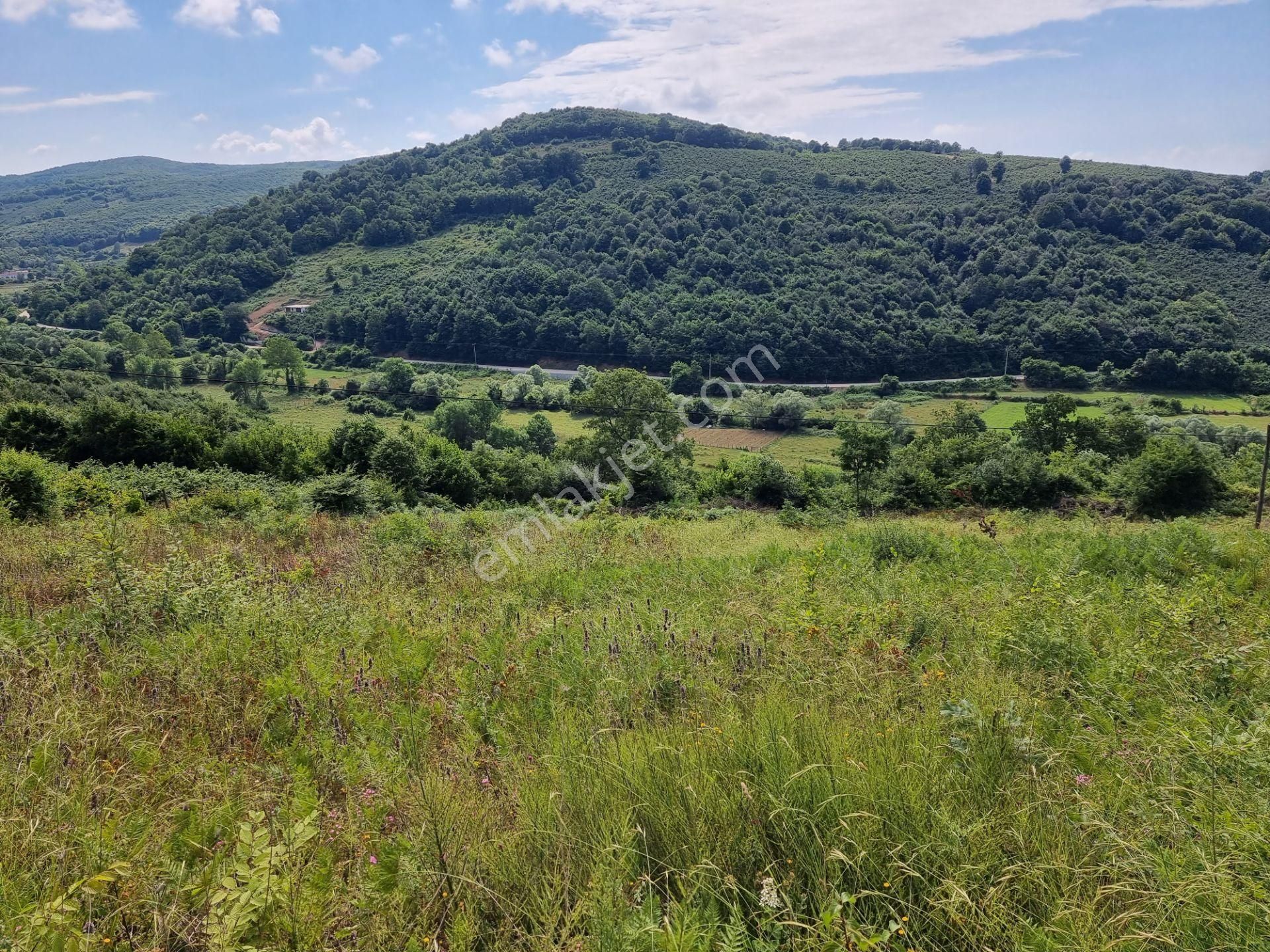 Bağırganlı'da Vadi Manzaralı Orman Kenarı 10 Dönüm Tarla - Görsel 31