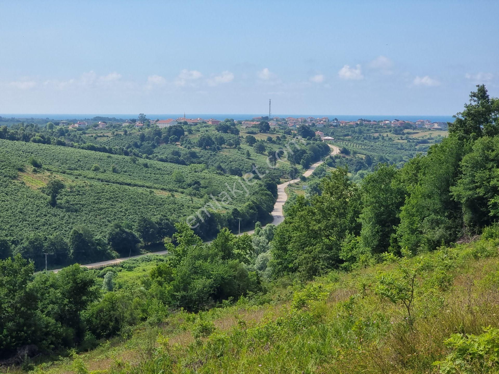 Bağırganlı'da Vadi Manzaralı Orman Kenarı 10 Dönüm Tarla - Görsel 22