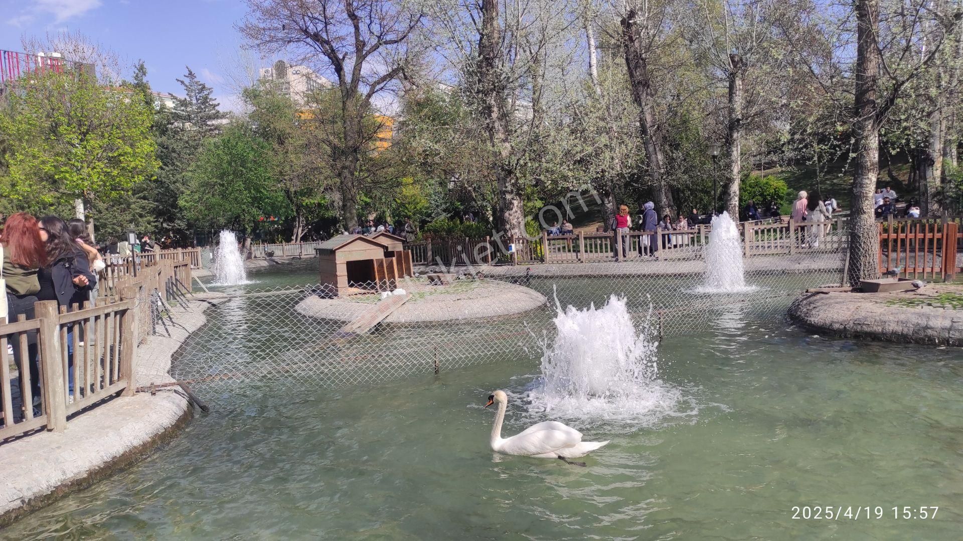 Atatürk Bulvarında 1+1 Lüks Daire/1+1 Lux.apart. On Atatürk Blv. - Görsel 15