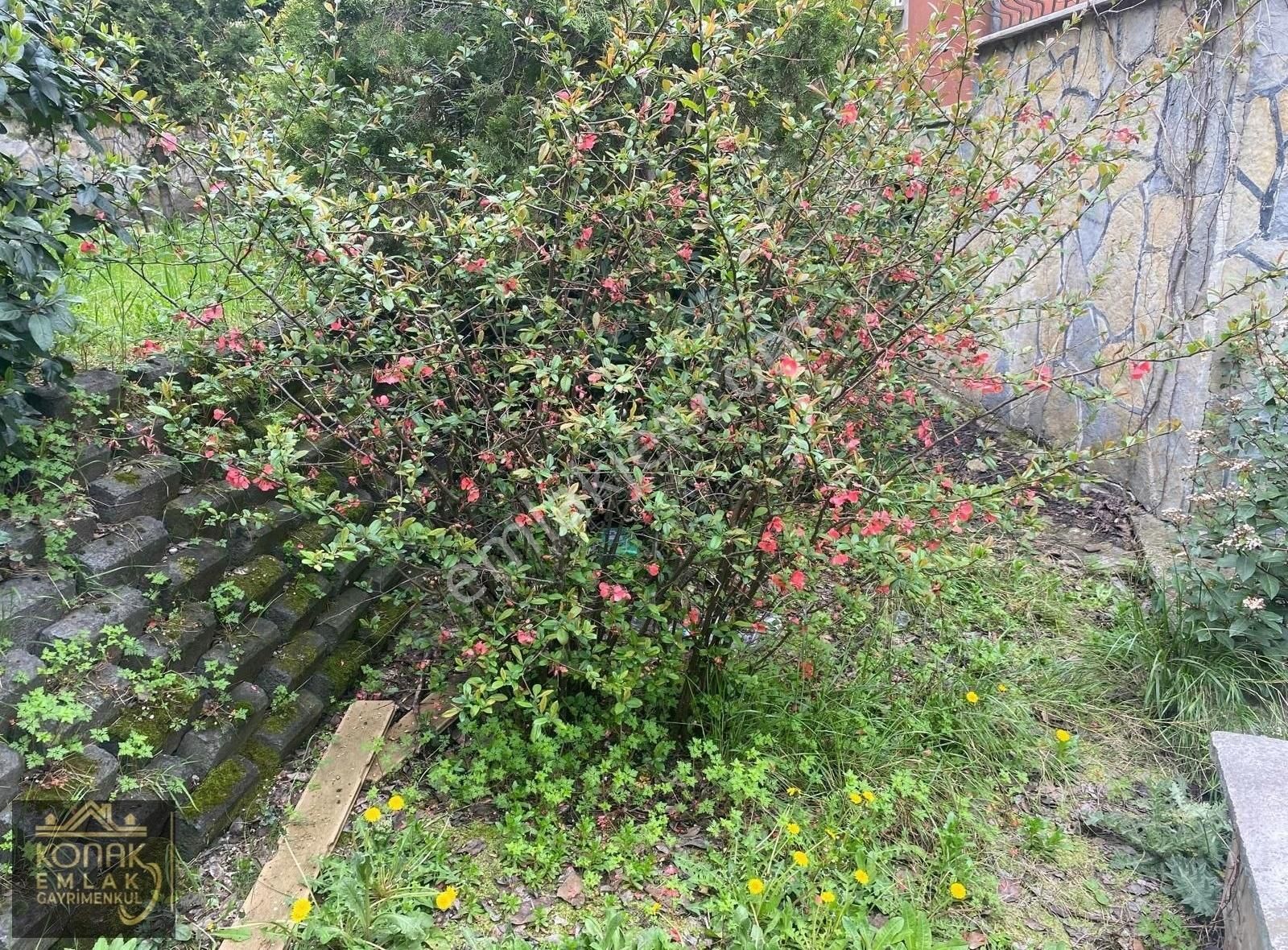 Bahcesehir Bogazköyde Satılık Natamam Köşe Villa - Görsel 5