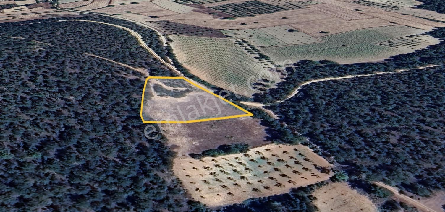 3.865 M2 Resmi Yolu Olan Muhteşem Arazi