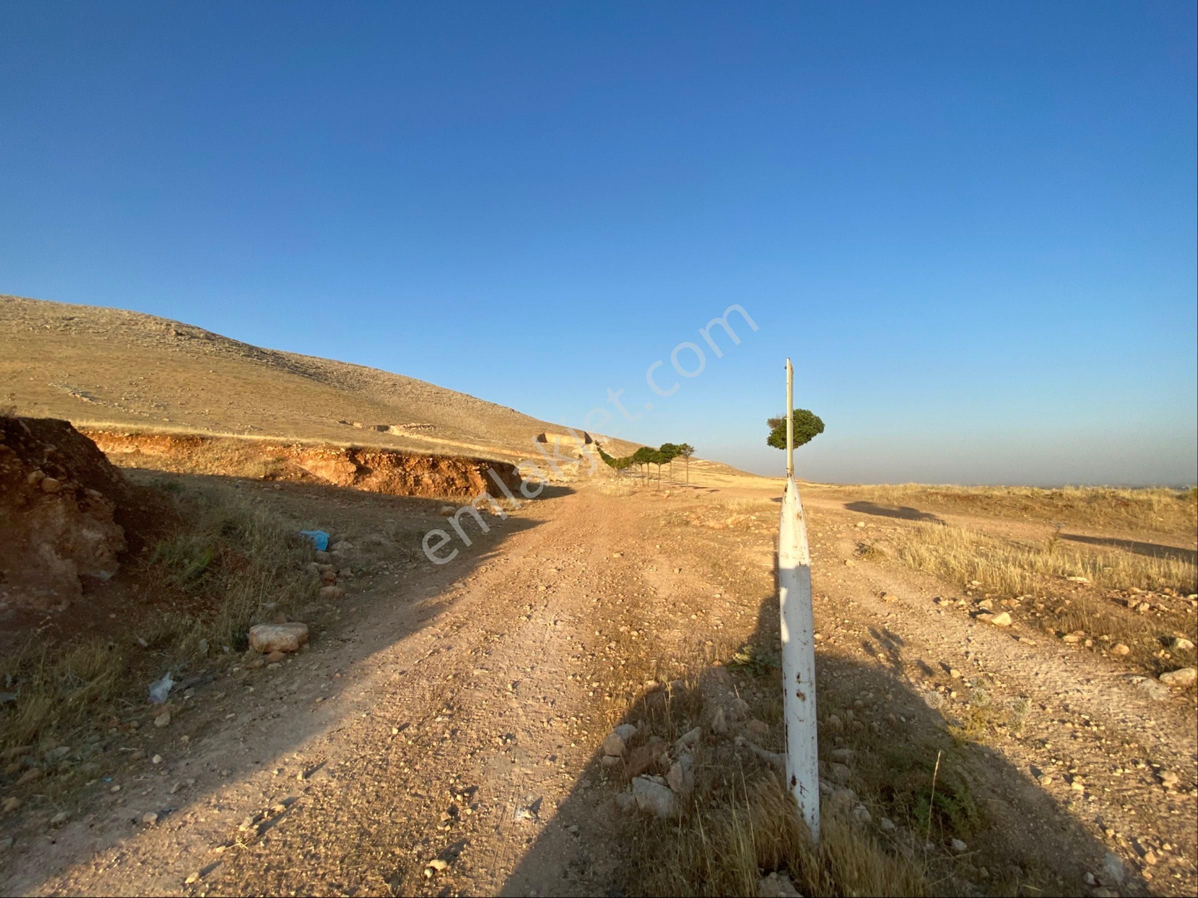 Cadde 17 Emlaktan Satılık 20 Mt Yola Sıfır Parsel - Görsel 5
