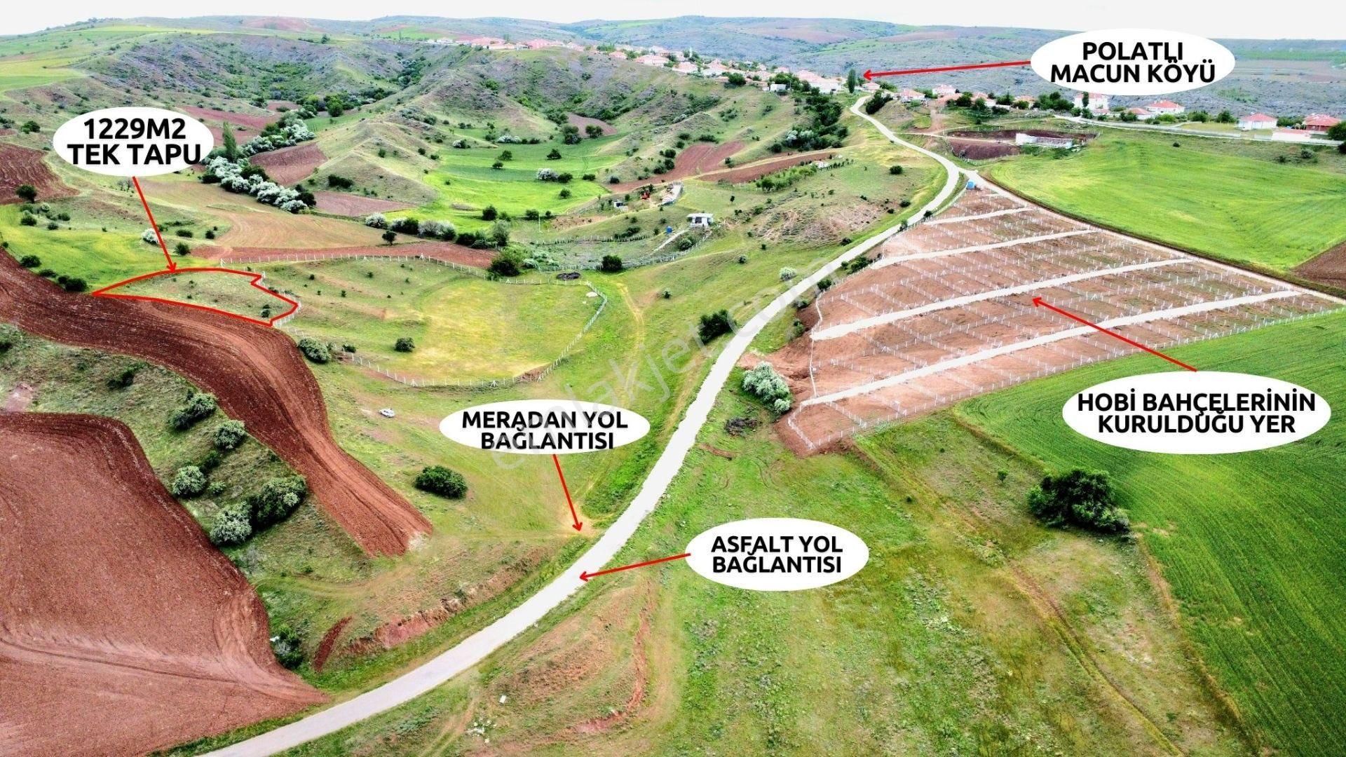 Köyiçi Bağ Arsa Tek Tapu Polatlı Macun (hobi Bahçesi Fiyatına)