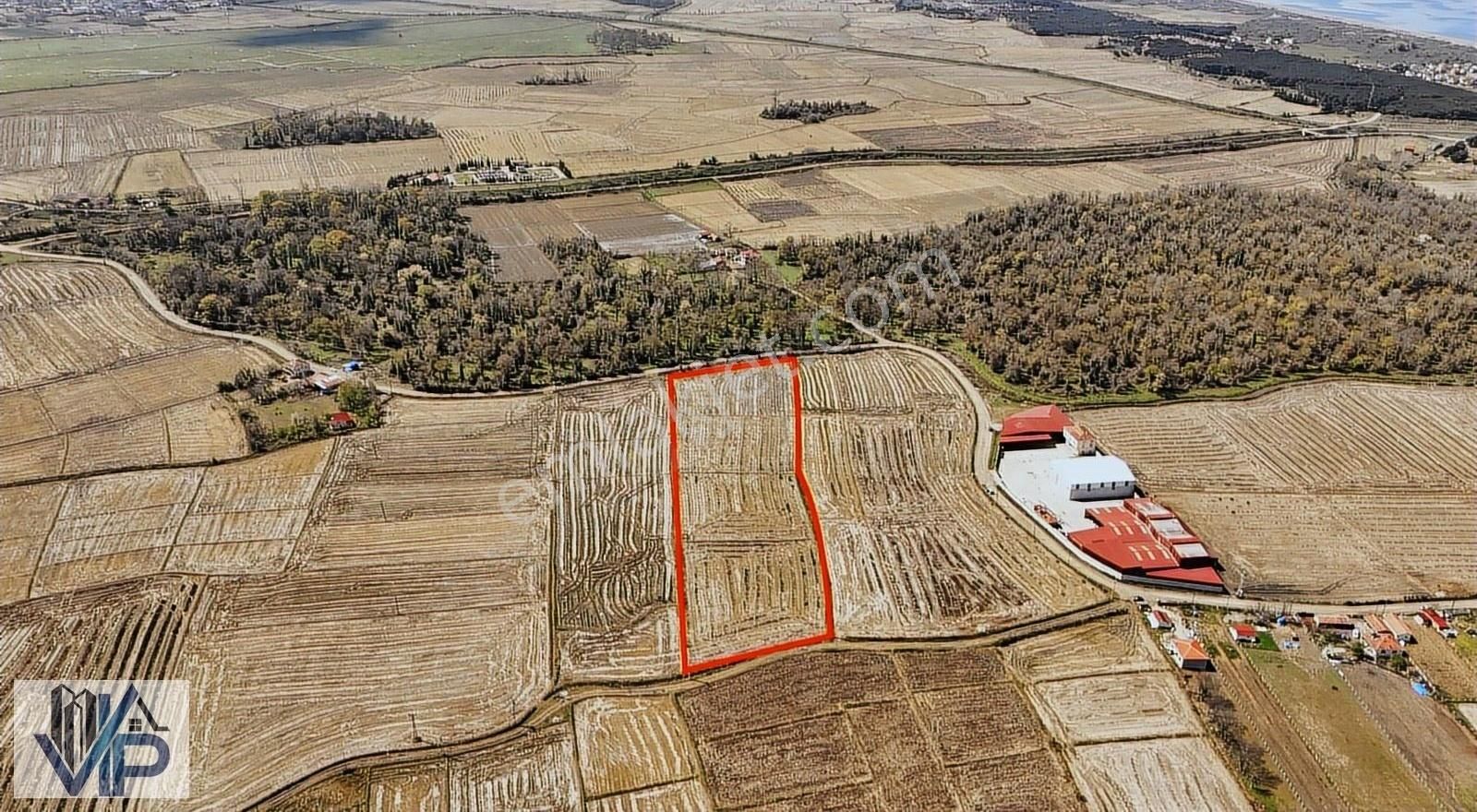 Bafra Vip Gayrimenkulden Alaçamda Satılık 17100 M2 Tarla