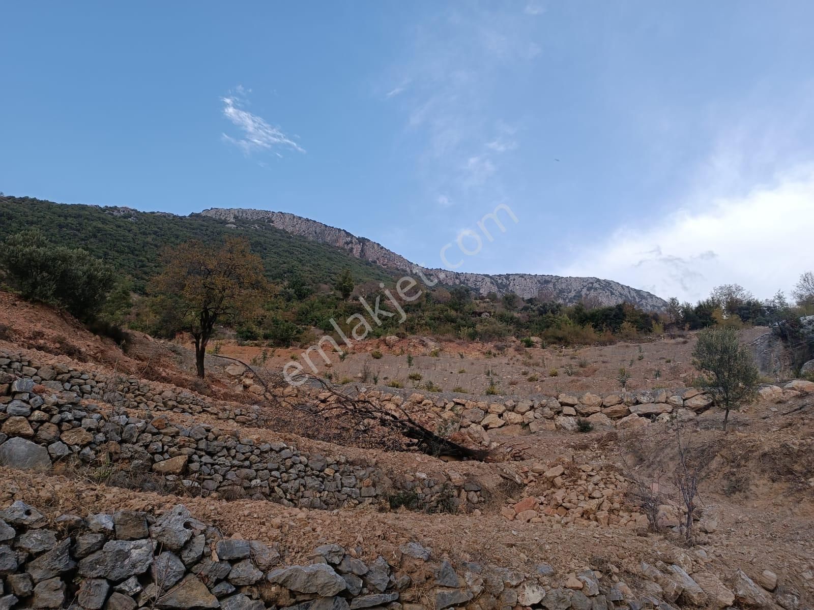 Yenice Köyünde Deniz Ve Vadi Manzaralı Hafriyatı Yapılmış 1800 M2 Tarla - Görsel 16