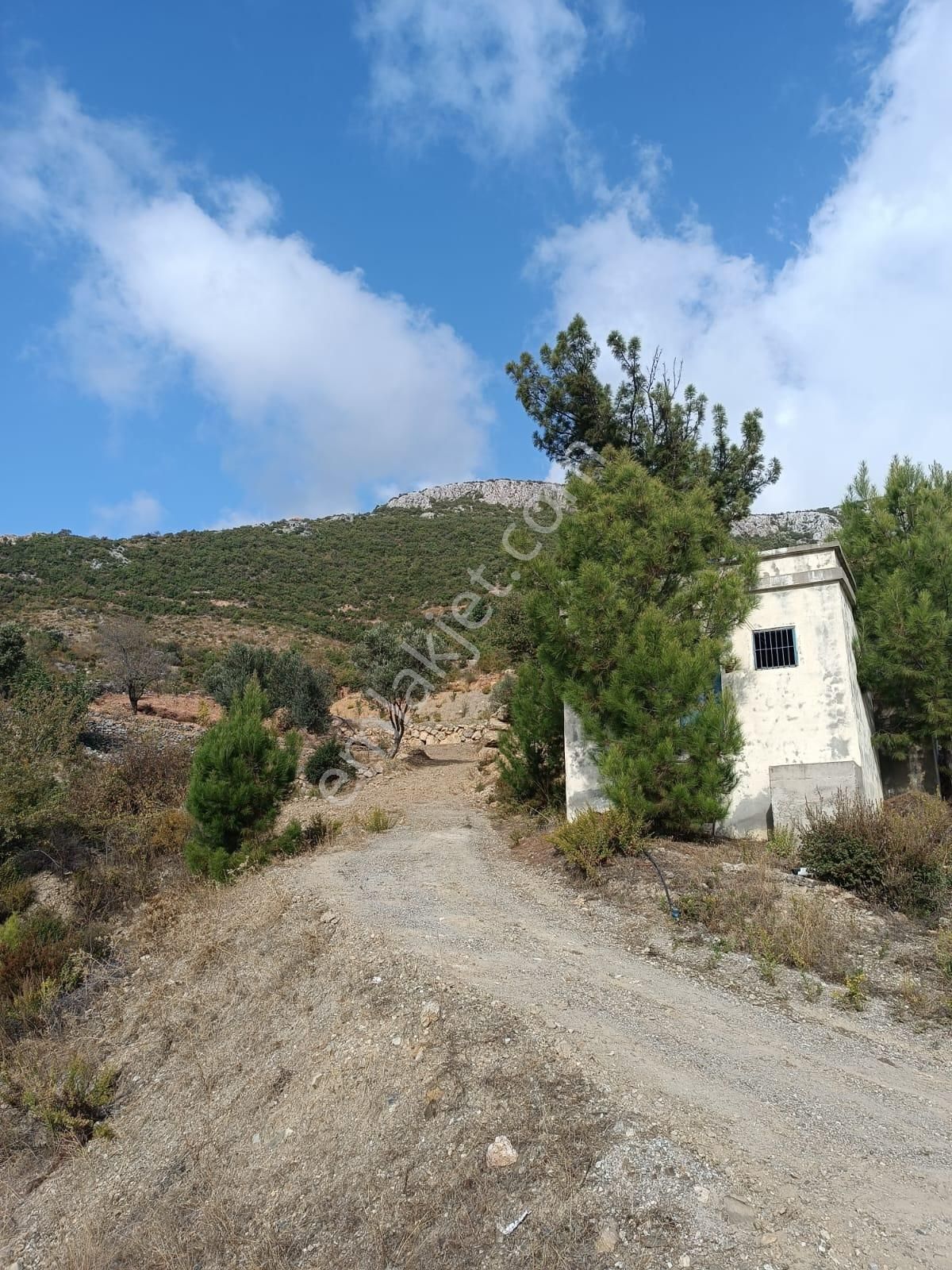 Yenice Köyünde Deniz Ve Vadi Manzaralı Hafriyatı Yapılmış 1800 M2 Tarla - Görsel 15