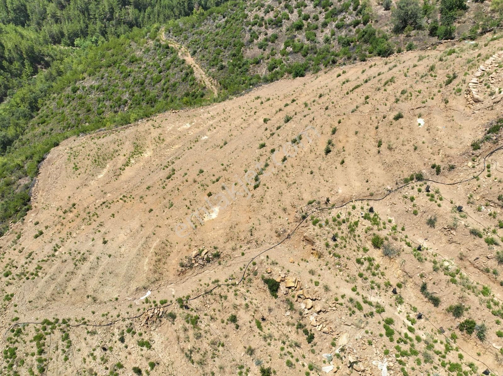 Alanya Çamlıca Mahallesinde Verimli Bir Tarla Sizi Bekliyor. Tam 13200 Metrekare - Görsel 14