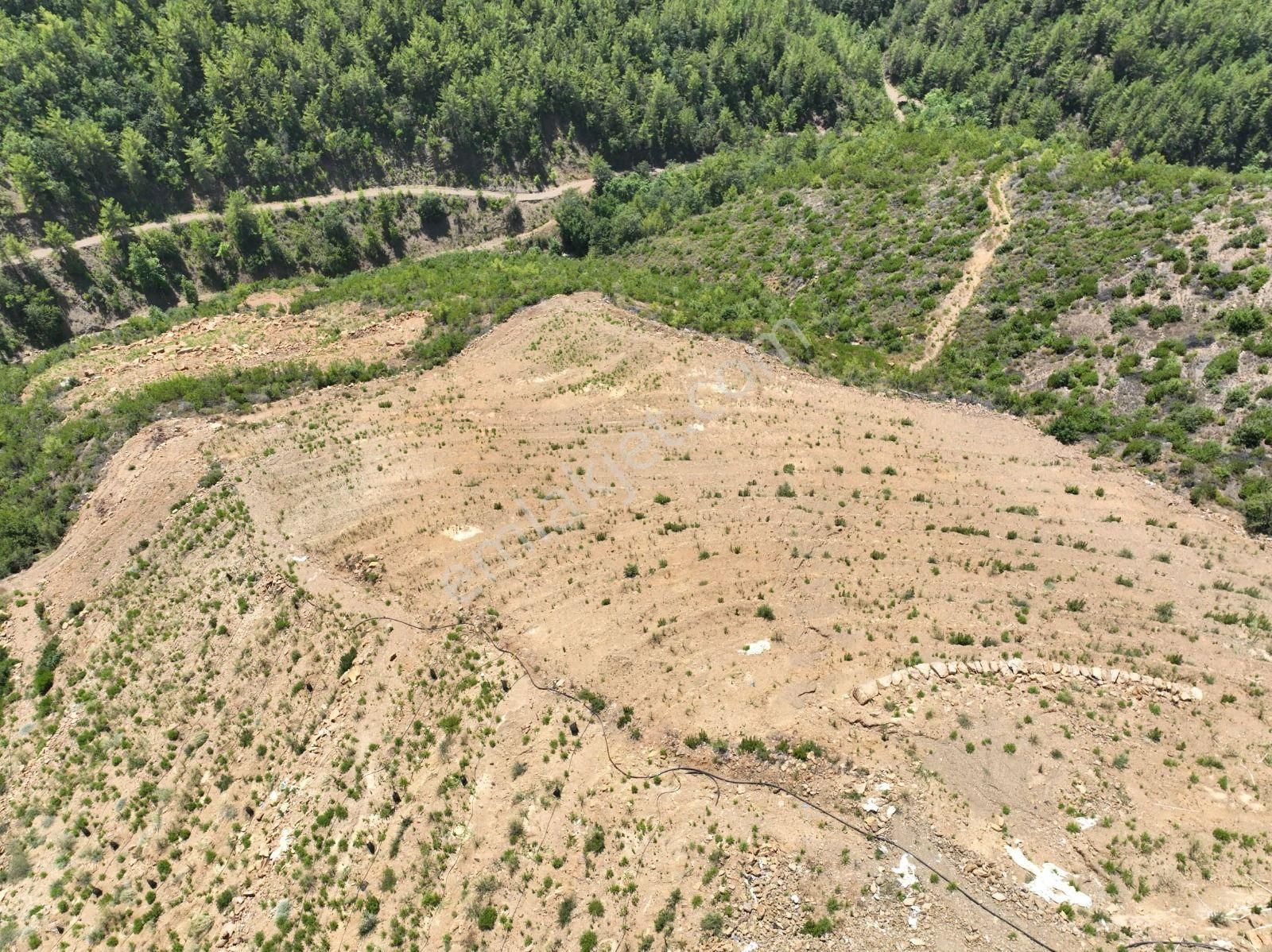 Alanya Çamlıca Mahallesinde Verimli Bir Tarla Sizi Bekliyor. Tam 13200 Metrekare - Görsel 19