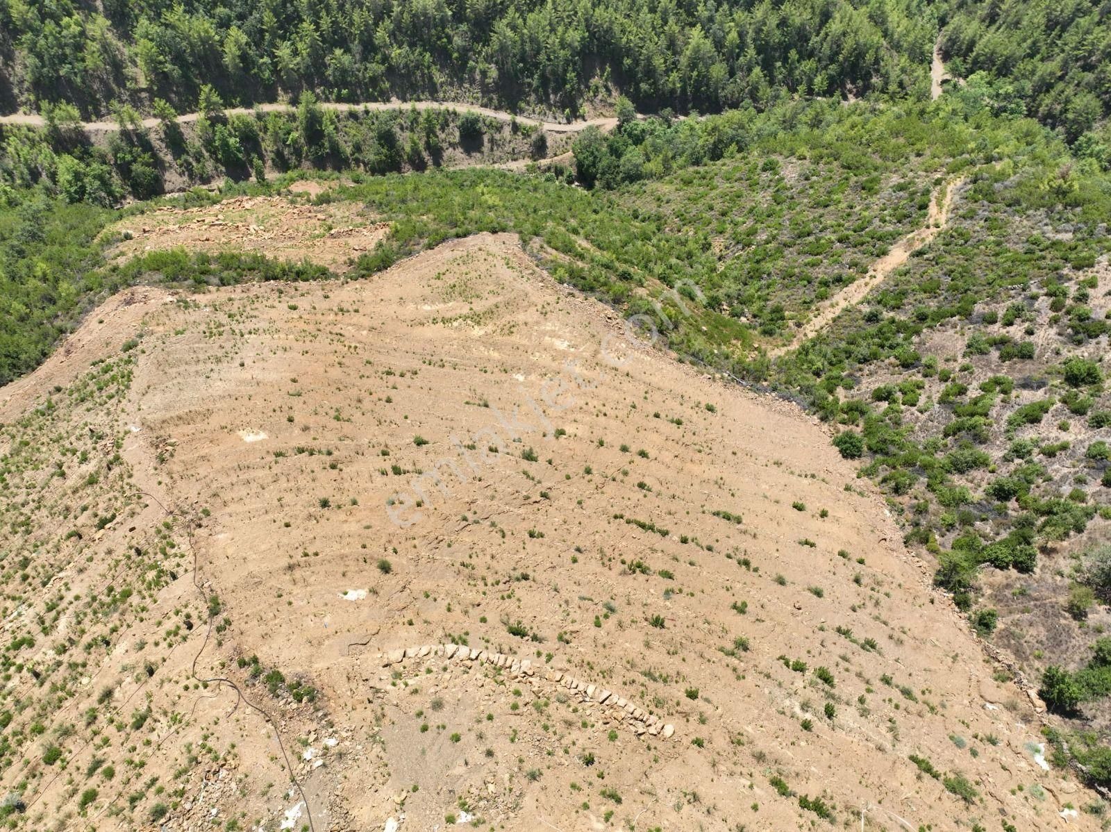 Alanya Çamlıca Mahallesinde Verimli Bir Tarla Sizi Bekliyor. Tam 13200 Metrekare - Görsel 23