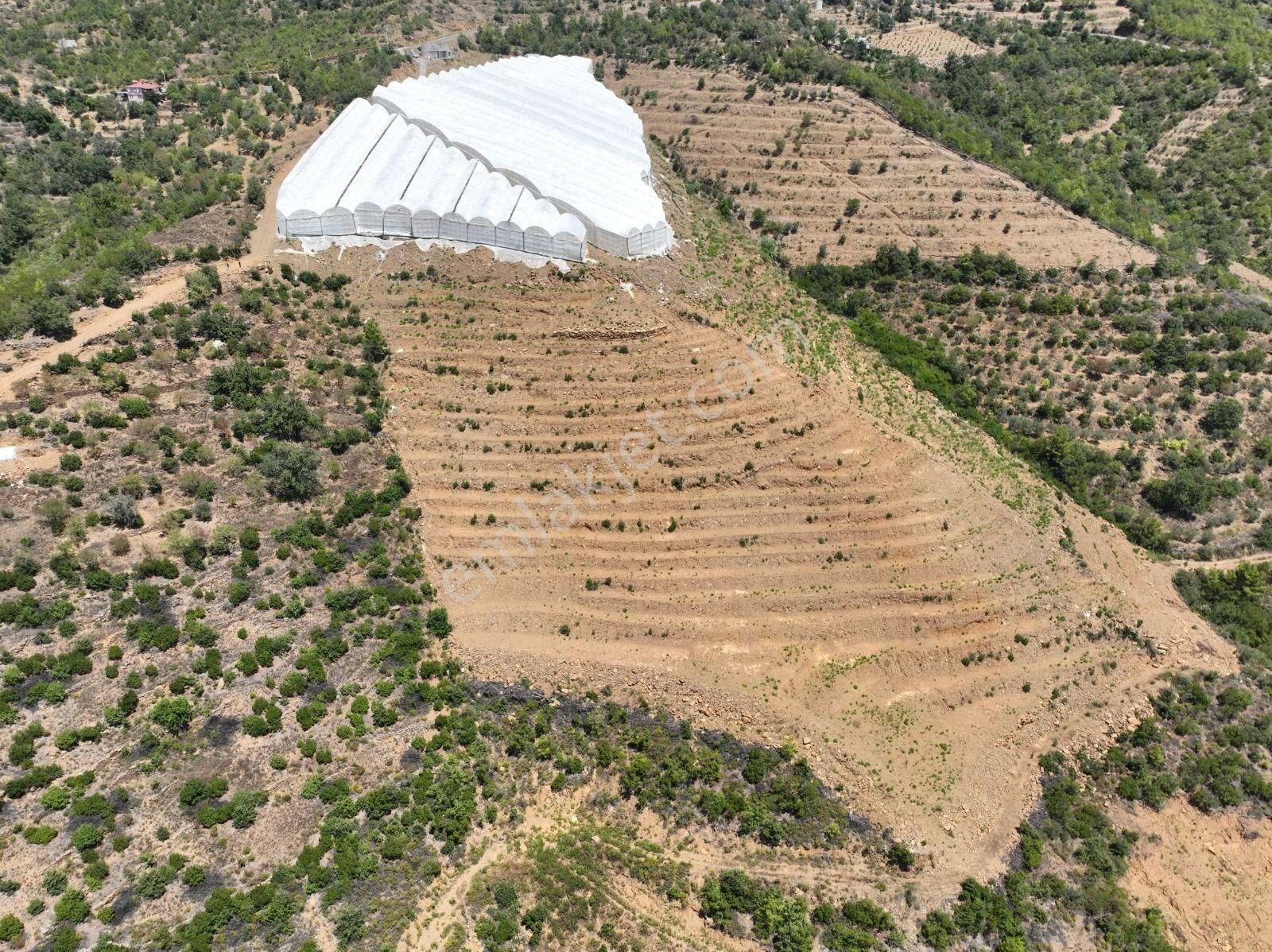 Alanya Çamlıca Mahallesinde Verimli Bir Tarla Sizi Bekliyor. Tam 13200 Metrekare - Görsel 13