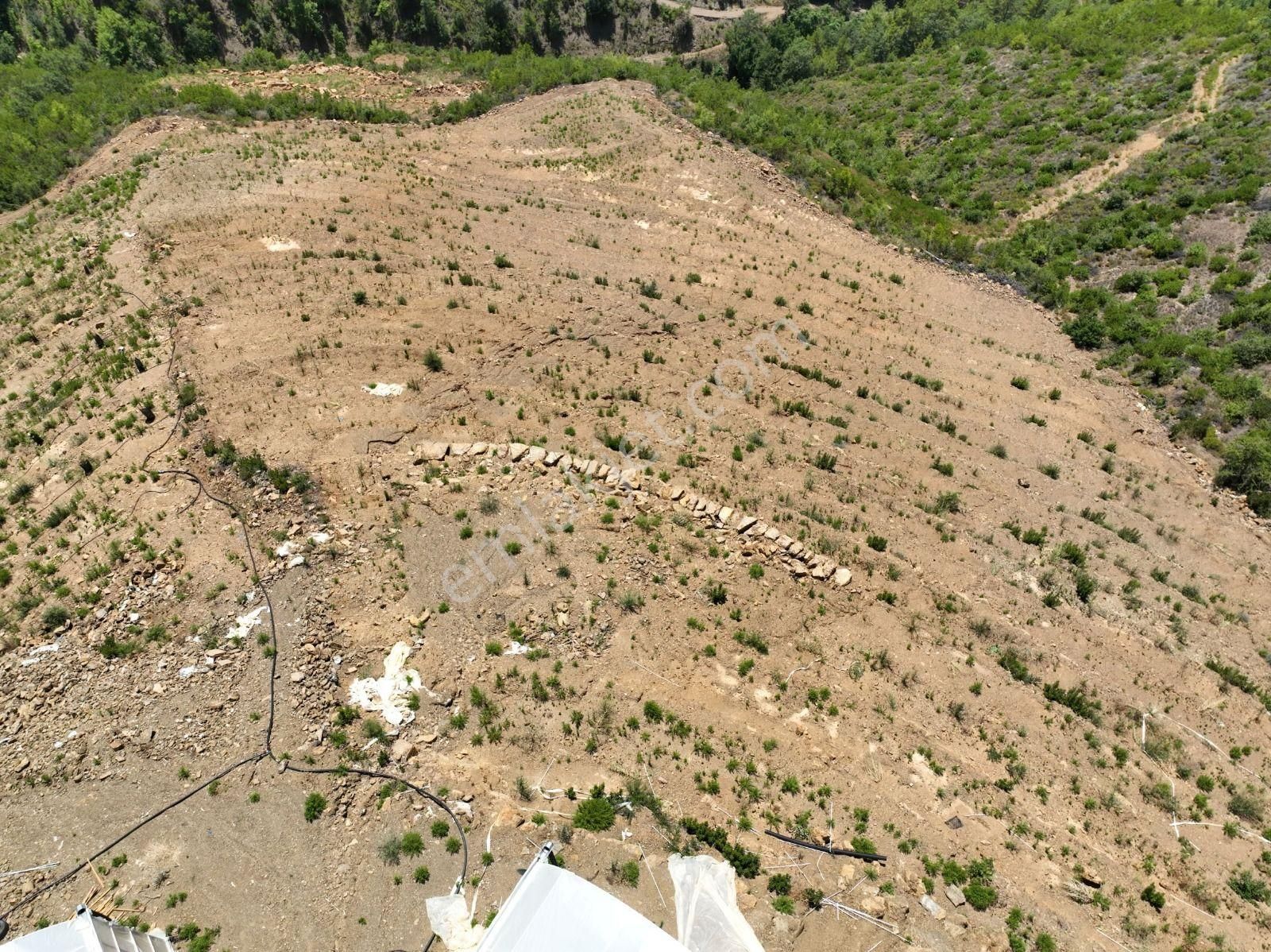 Alanya Çamlıca Mahallesinde Verimli Bir Tarla Sizi Bekliyor. Tam 13200 Metrekare - Görsel 18