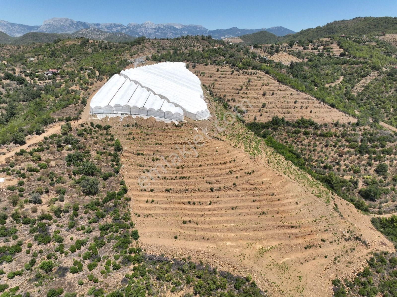 Alanya Çamlıca Mahallesinde Verimli Bir Tarla Sizi Bekliyor. Tam 13200 Metrekare - Görsel 9