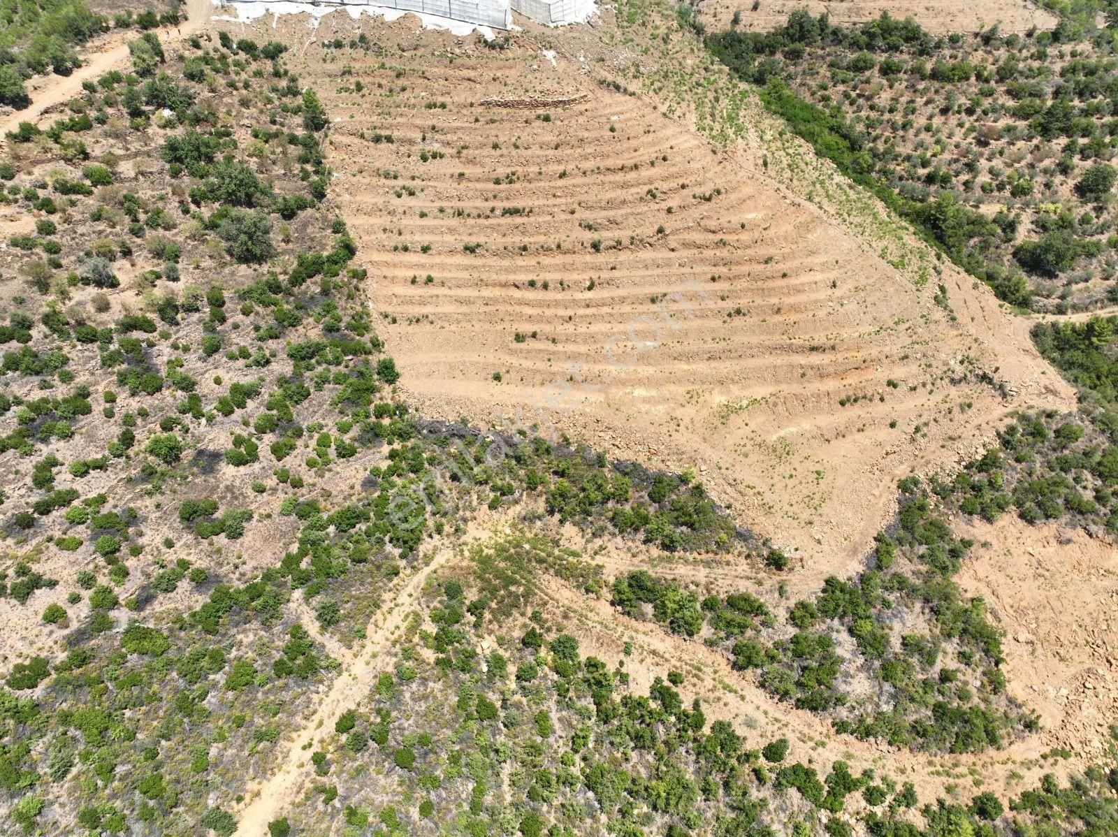 Alanya Çamlıca Mahallesinde Verimli Bir Tarla Sizi Bekliyor. Tam 13200 Metrekare - Görsel 11