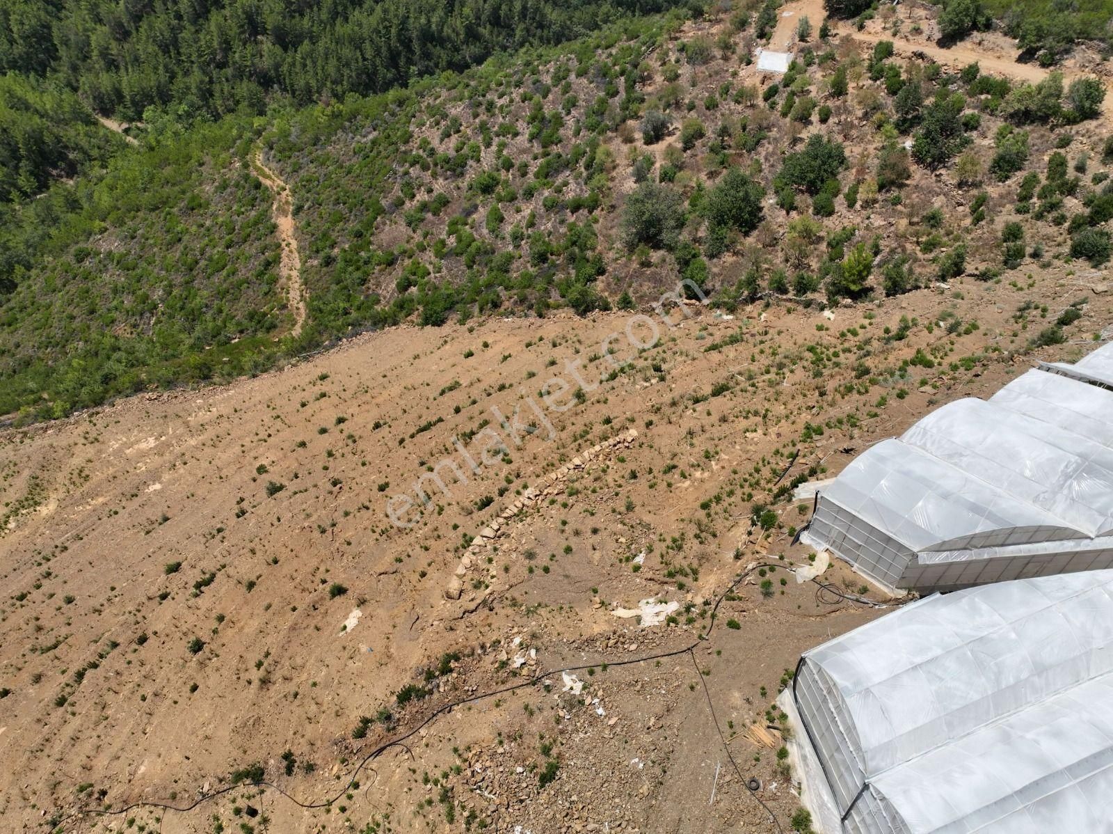 Alanya Çamlıca Mahallesinde Verimli Bir Tarla Sizi Bekliyor. Tam 13200 Metrekare - Görsel 15
