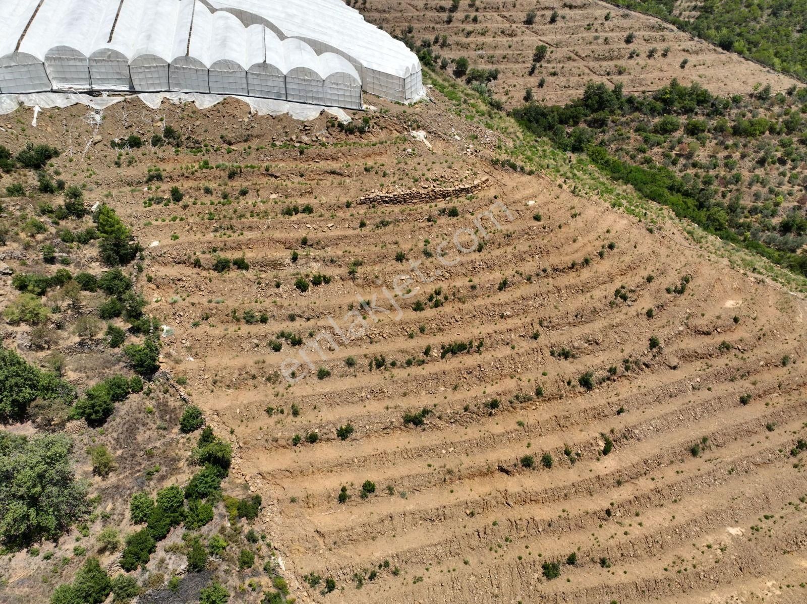 Alanya Çamlıca Mahallesinde Verimli Bir Tarla Sizi Bekliyor. Tam 13200 Metrekare - Görsel 22