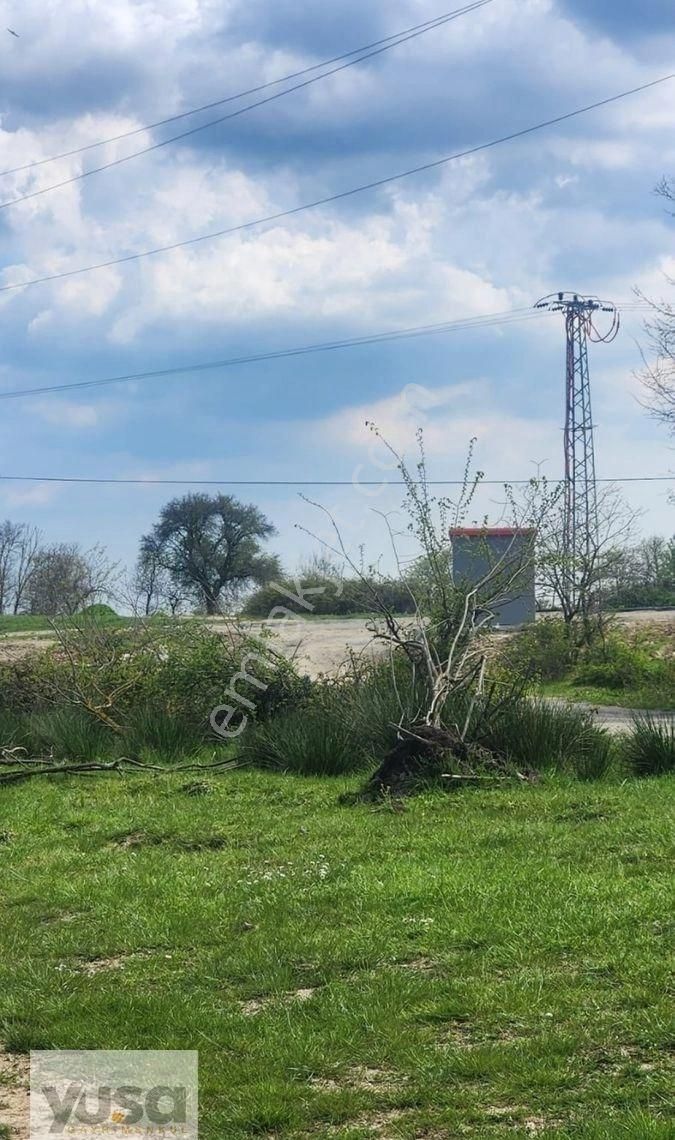 Çatalca İnceğiz Satılık Tarla Hissesi - Görsel 8