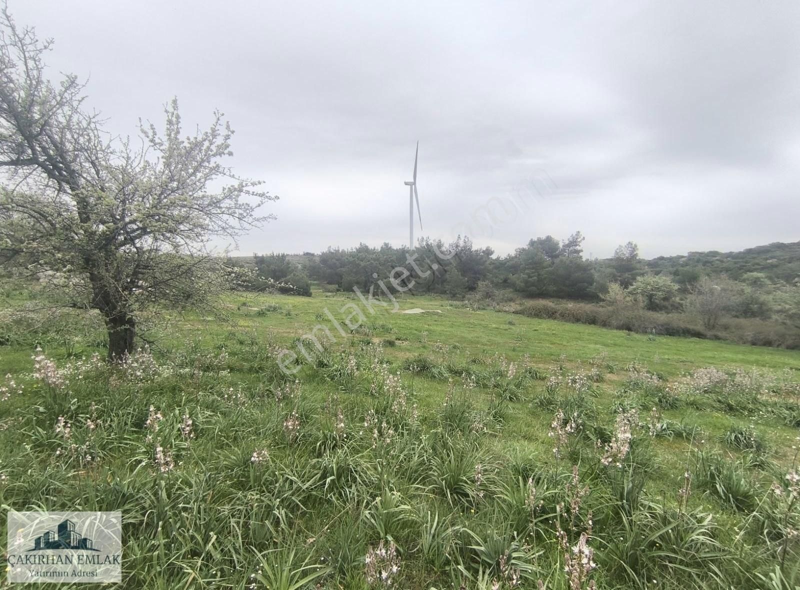 Çandarlı - Dikili Yolu Üzeri İmara Sıfır Mükemmel Lokasyon Arazi - Görsel 23