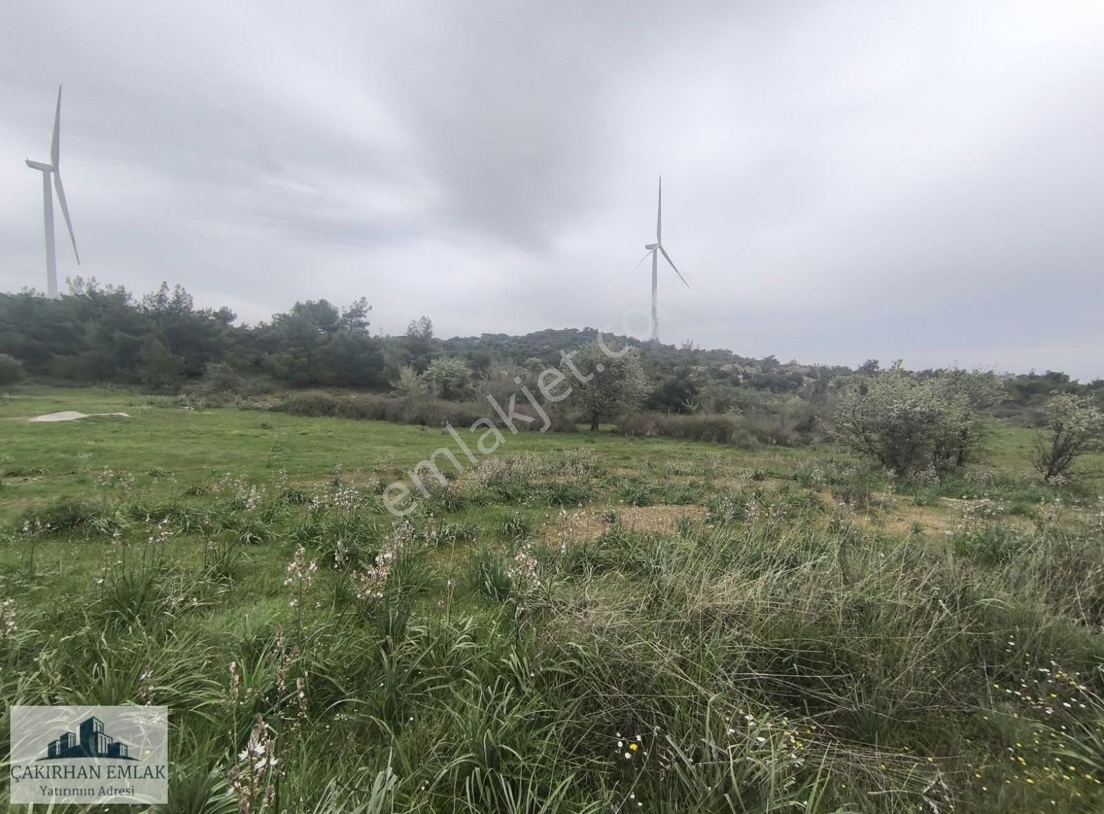 Çandarlı - Dikili Yolu Üzeri İmara Sıfır Mükemmel Lokasyon Arazi - Görsel 6