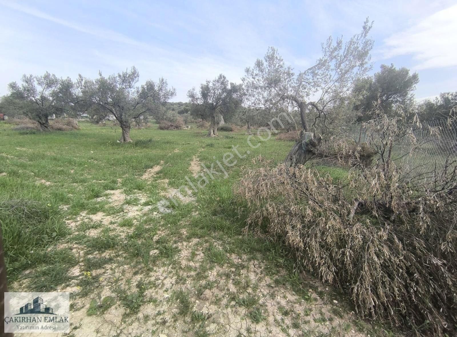 Ahmetdağı Mevki Yola Ve Denize Yakın Satılık Büyük Arsa - Görsel 7