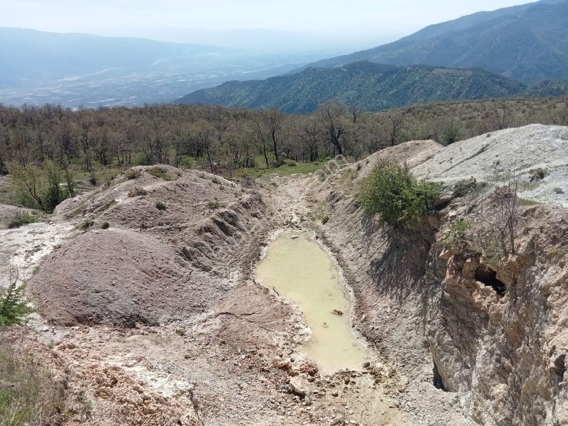 Kuyucak İğdecik'te Tarla - Görsel 23