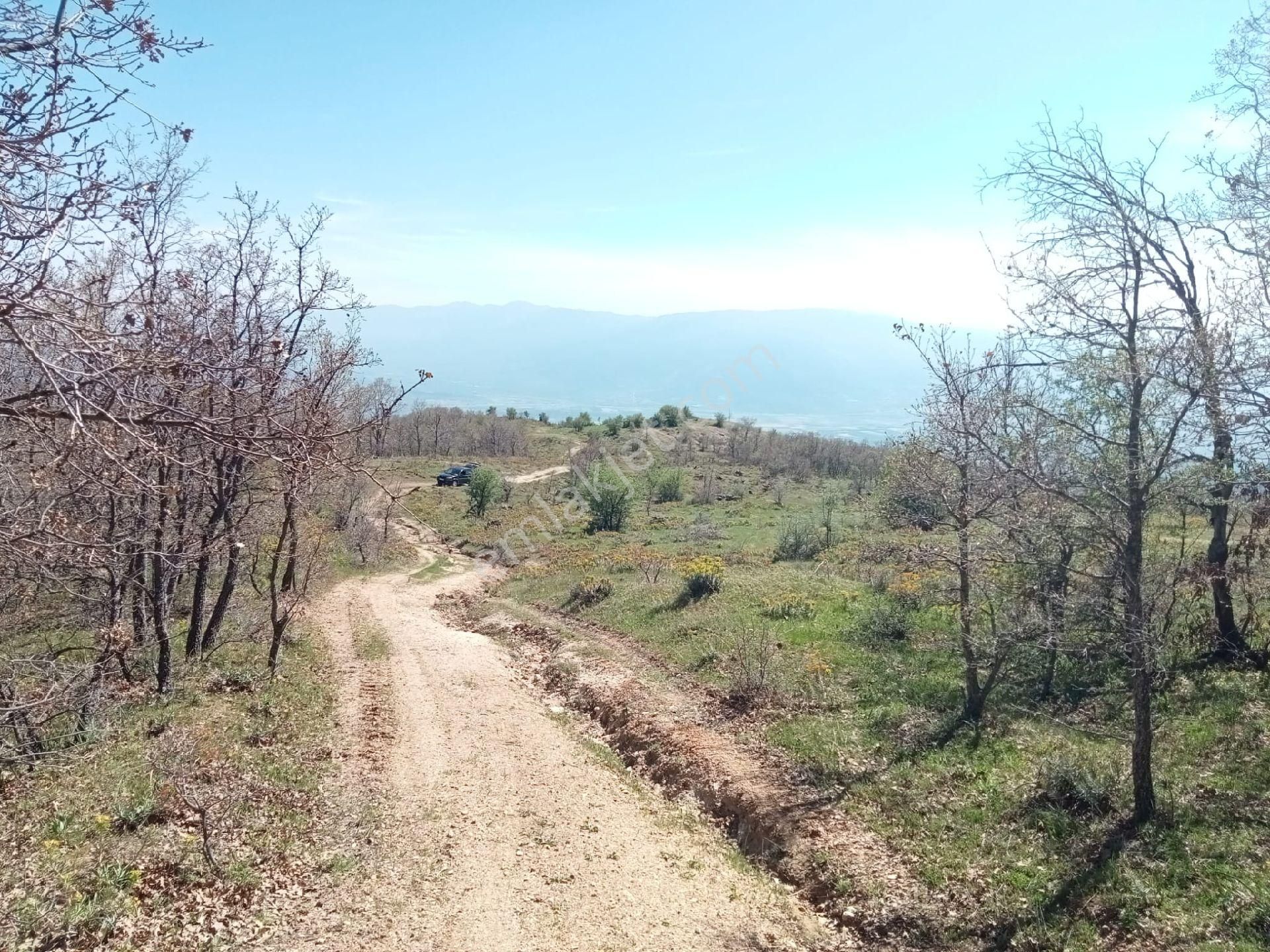 Kuyucak İğdecik'te Tarla - Görsel 15