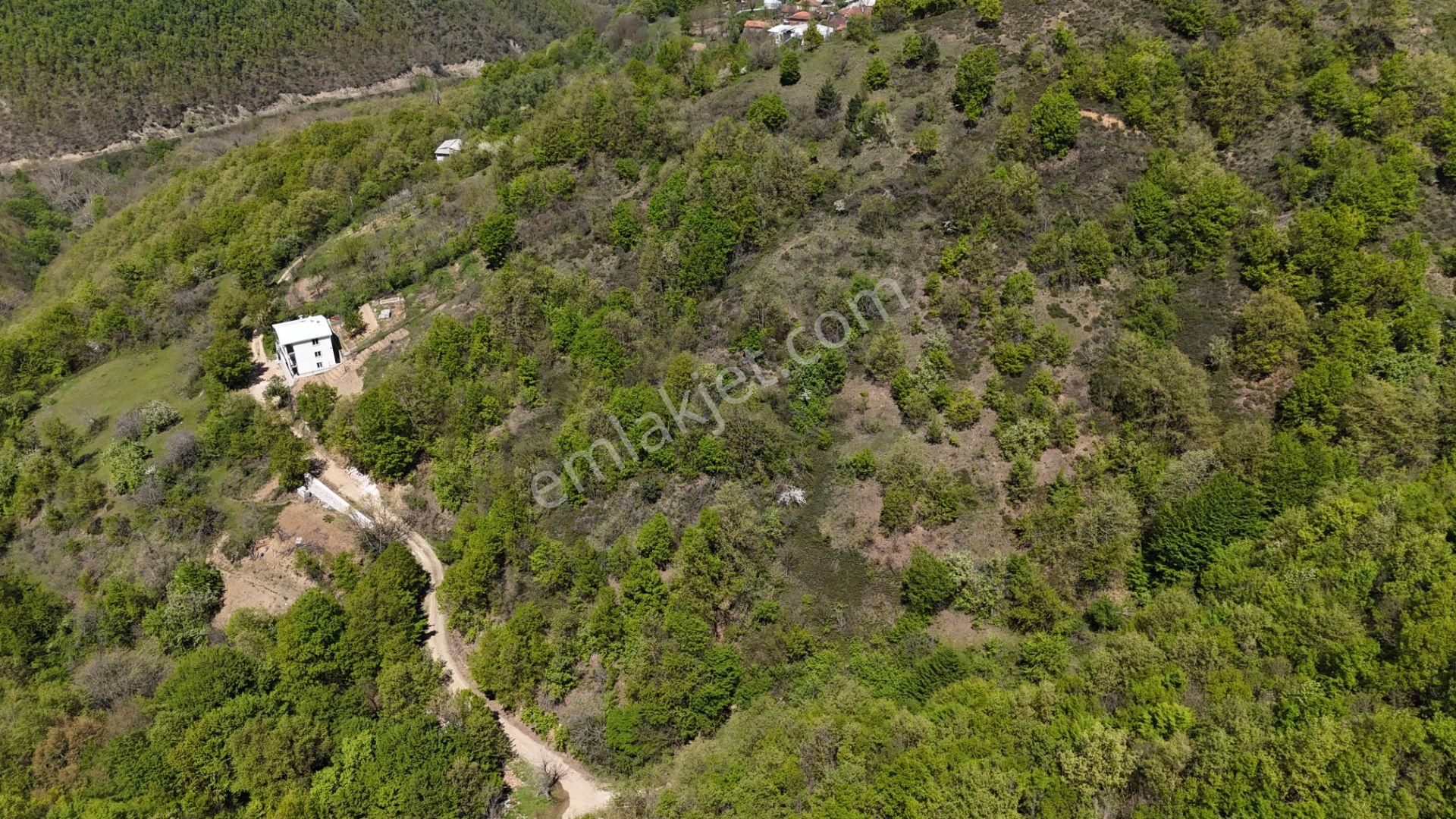 Nilüfer Üçpınar 1475 M² Köy İçi Satılık Tarla - Görsel 4
